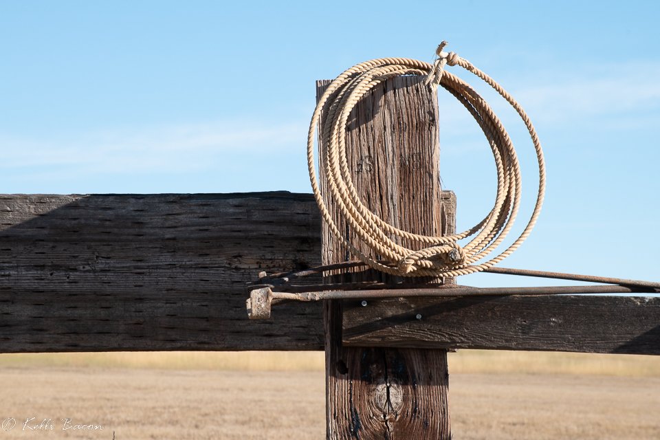 Rope and Old Branding Irons