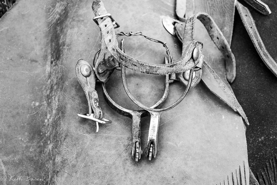 Black and White Spurs