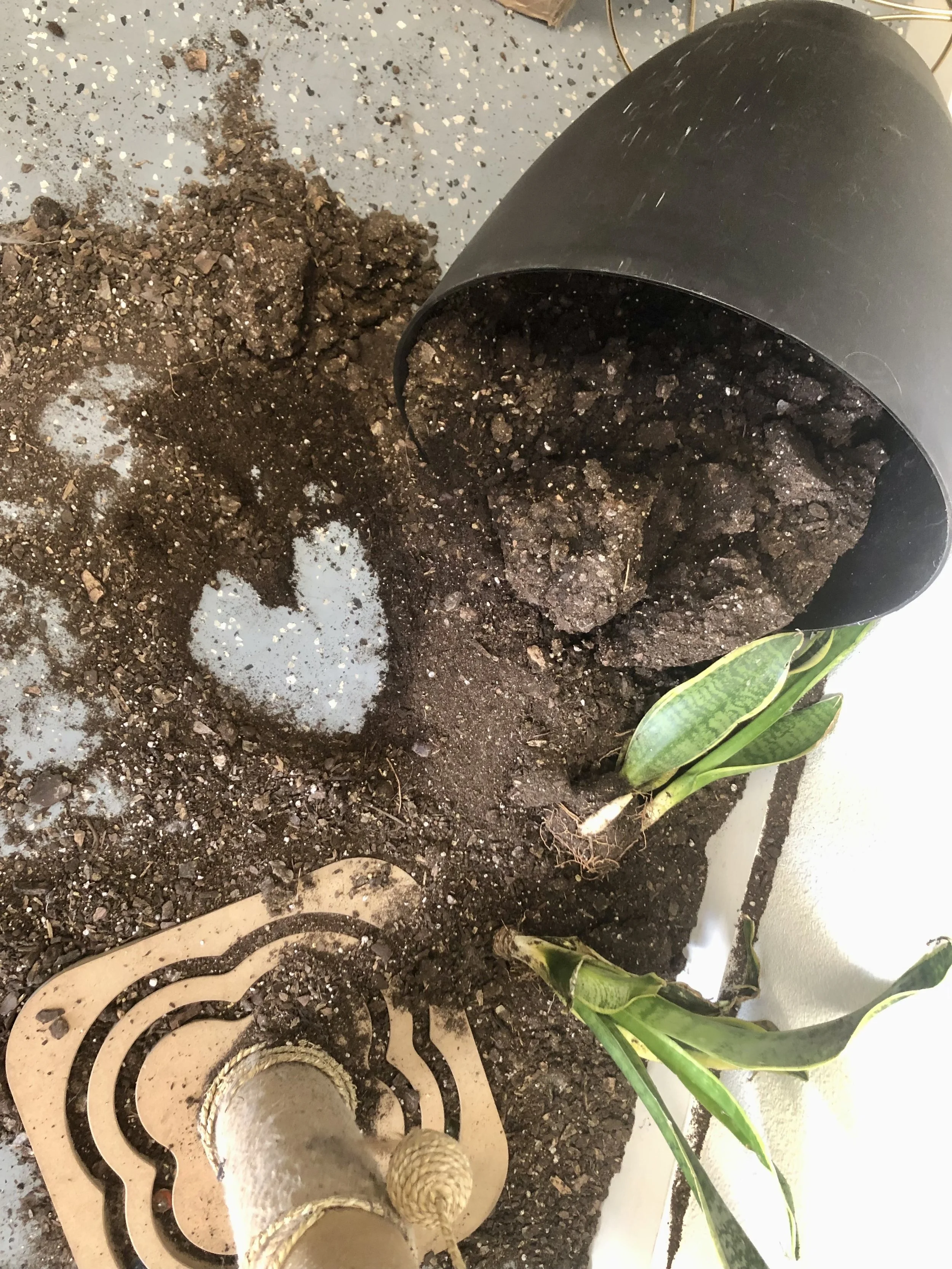 Sparkster In Action 13.jpg