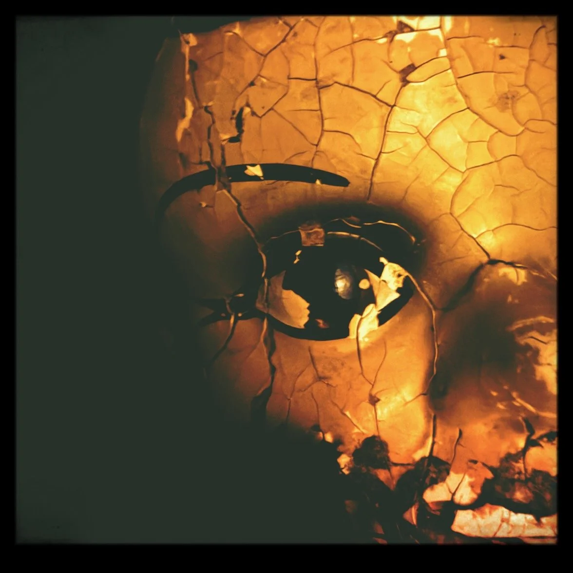 Dr. Dalgo's Attic Apparitions