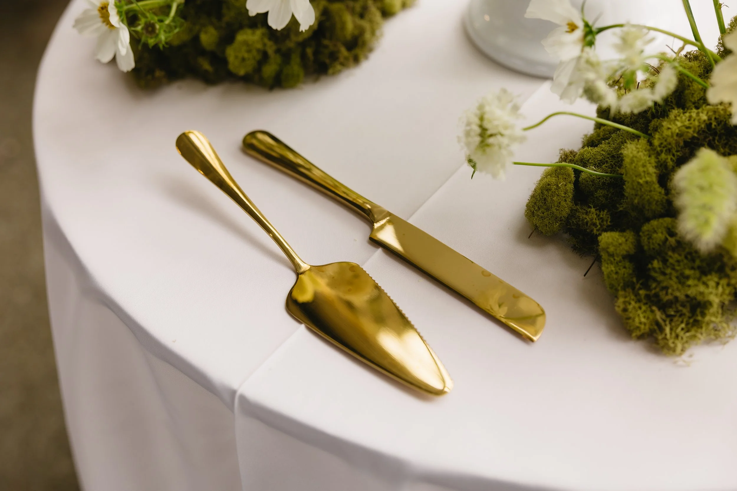 AnnaDavid_Wedding-816.jpg