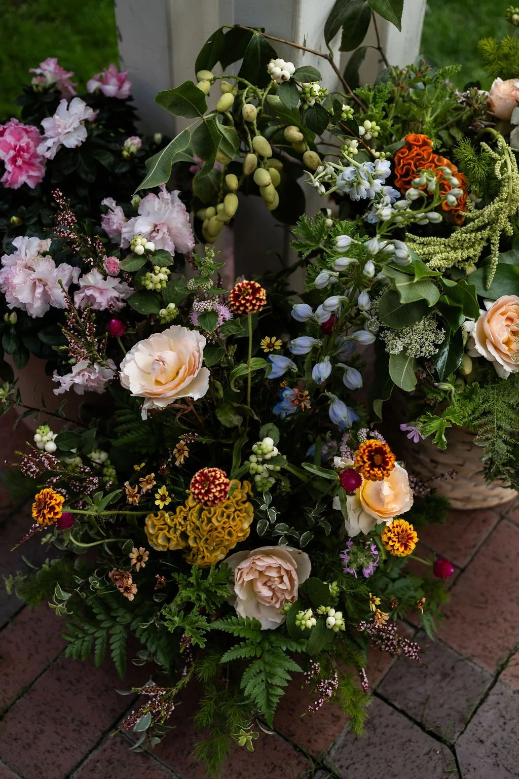 DSCF0042.jpg