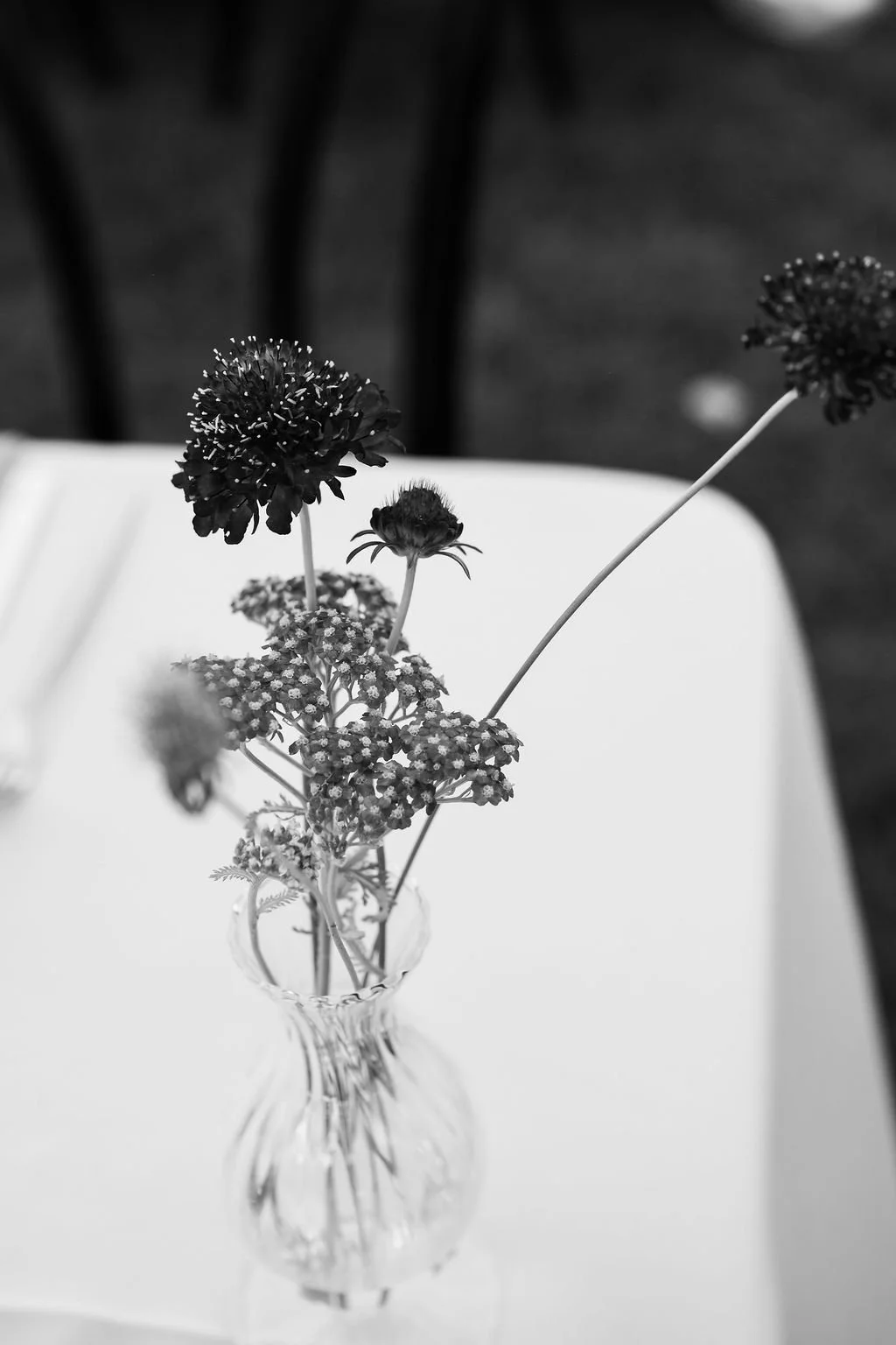 DSCF2061-2.jpg