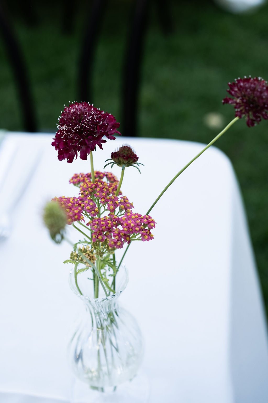 DSCF2061.jpg