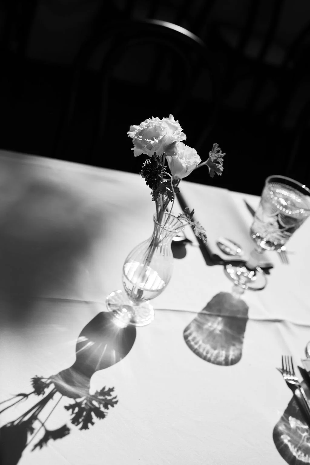 DSCF2131-2.jpg