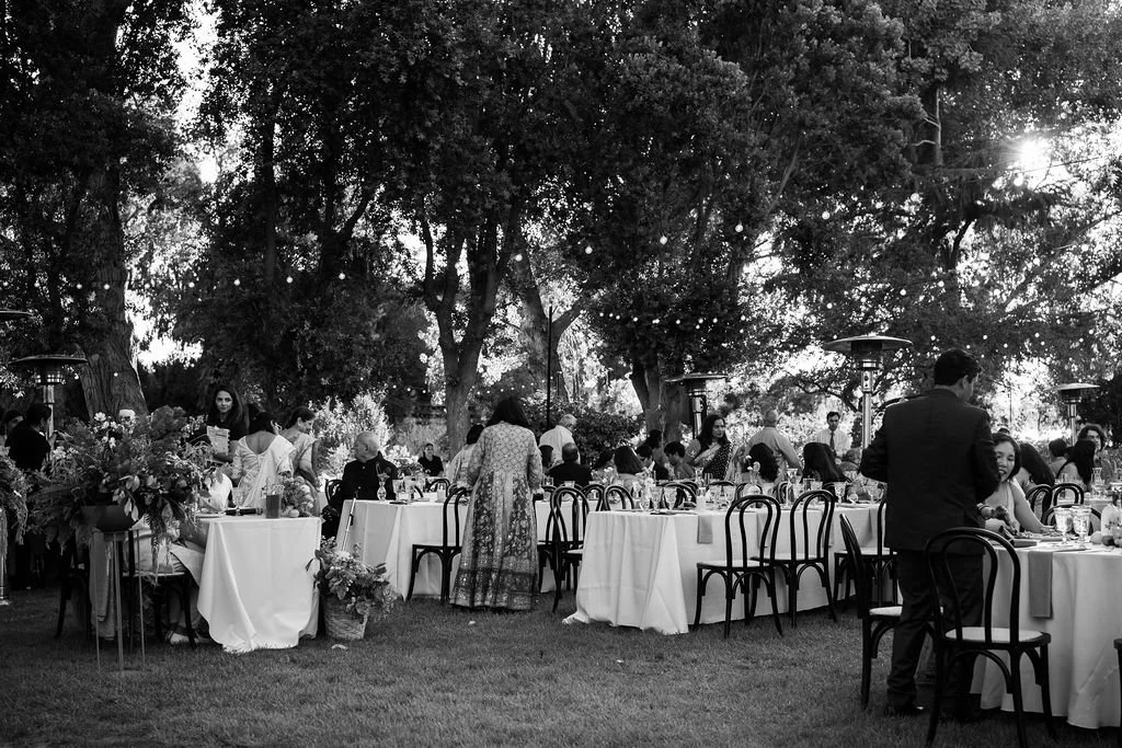 DSCF2080-4.jpg