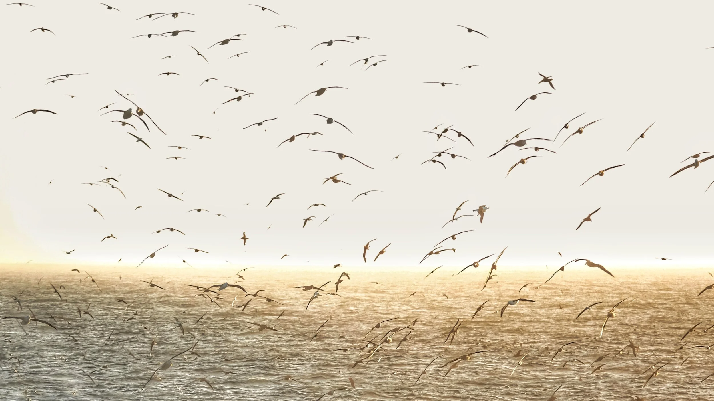 Rene LaMontagna 507 11.jpeg