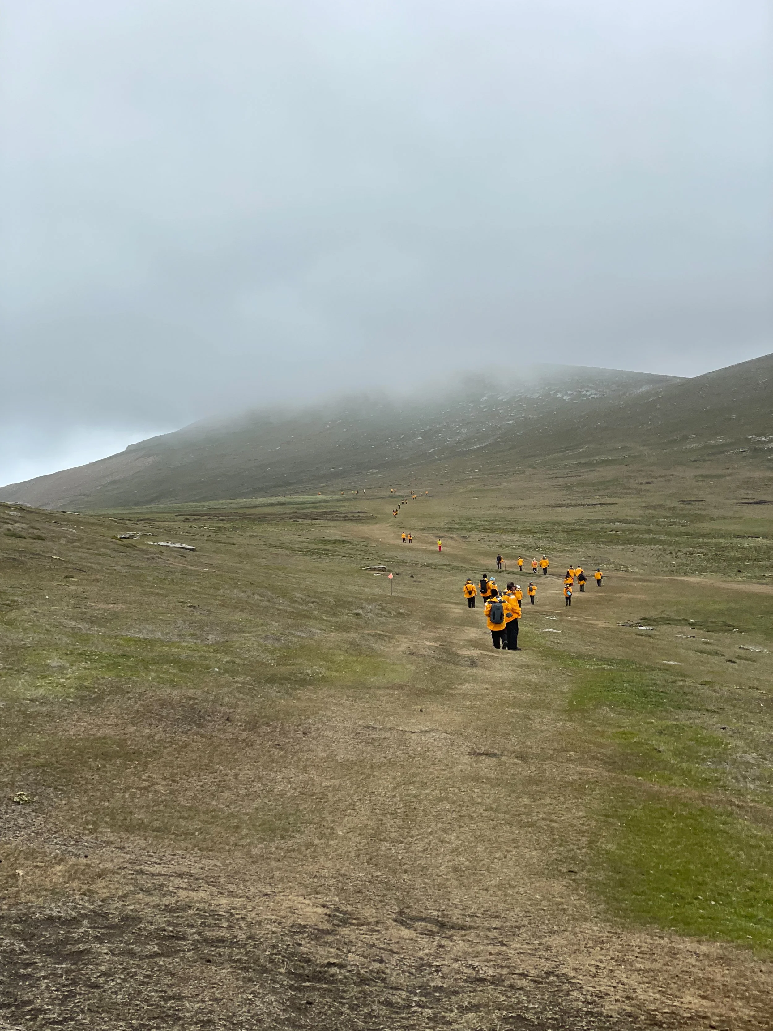 Blog 2 Fauklands-48.jpg