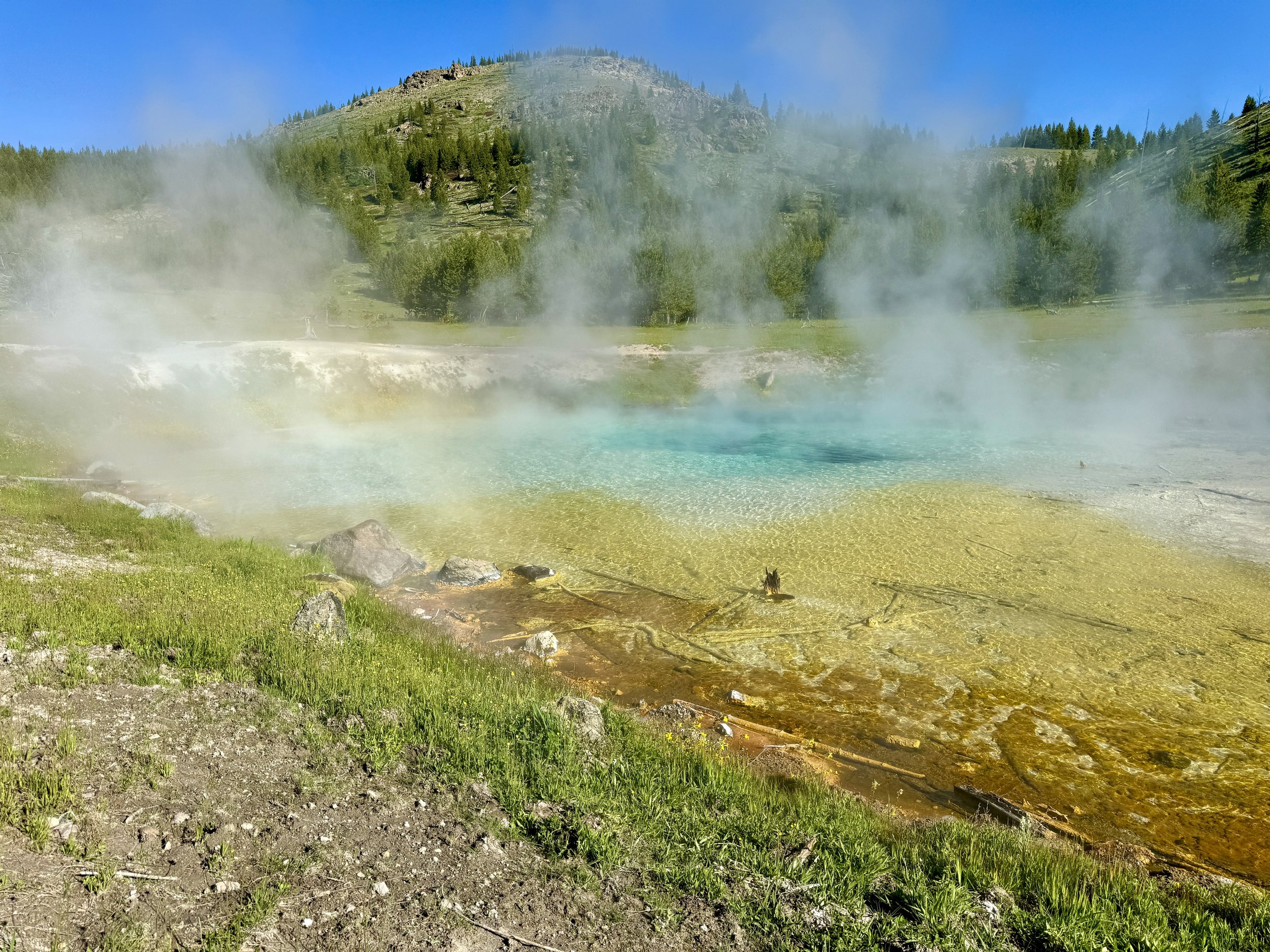 IMG_8429.JPG