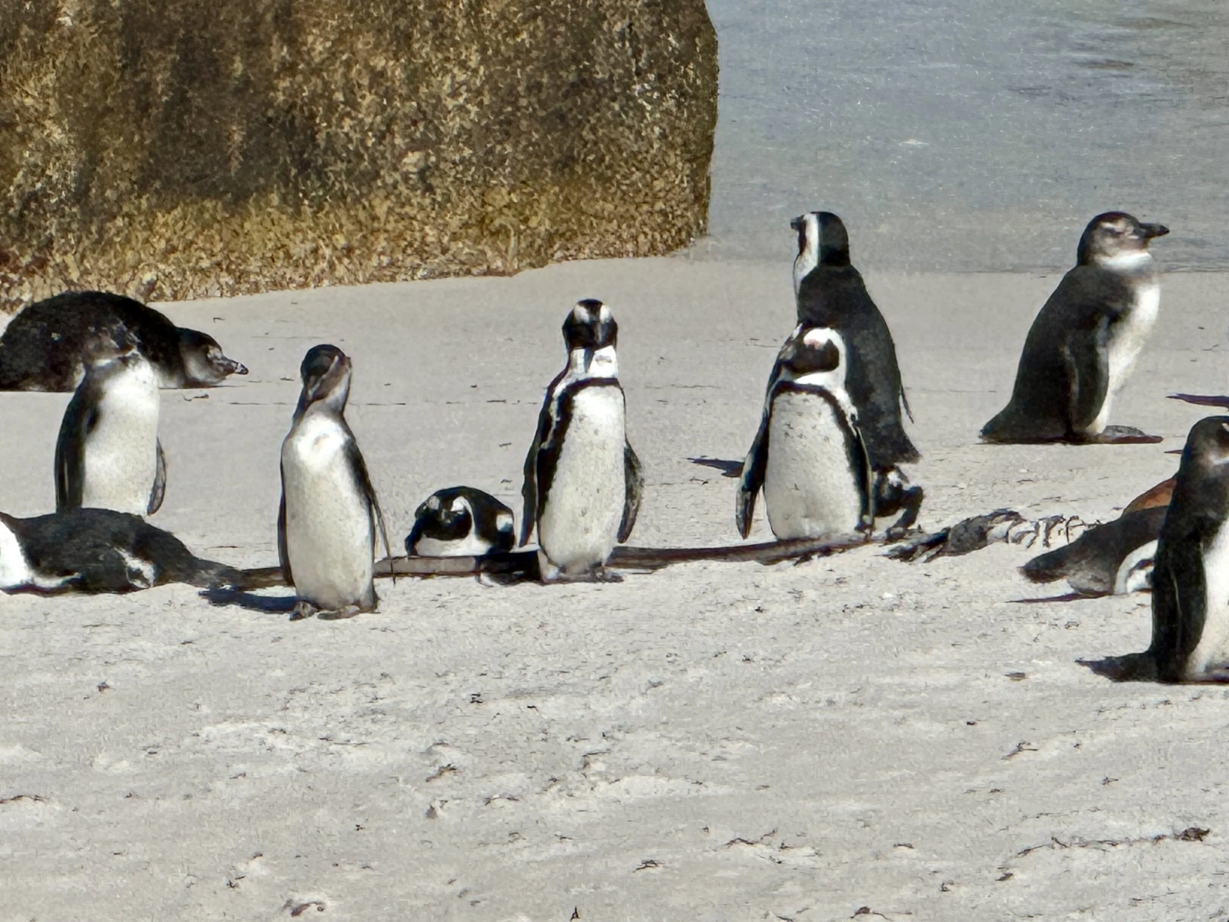 Meeting the Crew &amp; Kicking Things Off