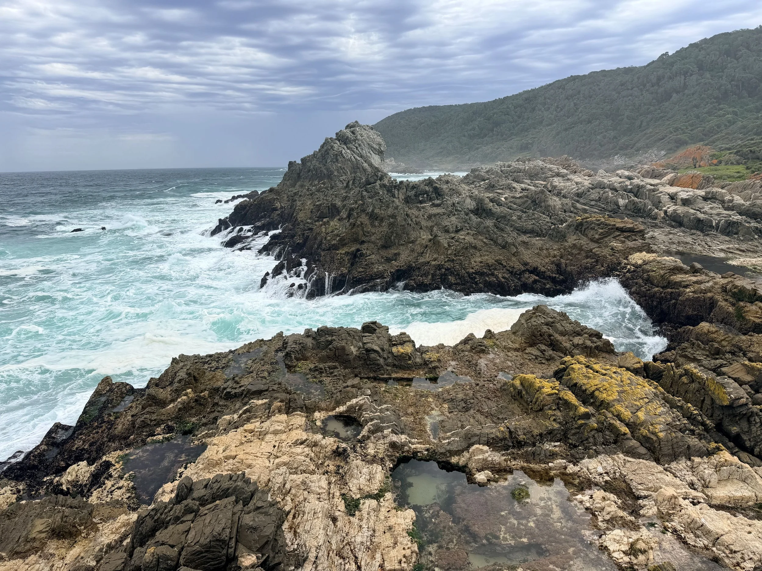 Untitled - 1 of 1 (1).jpeg