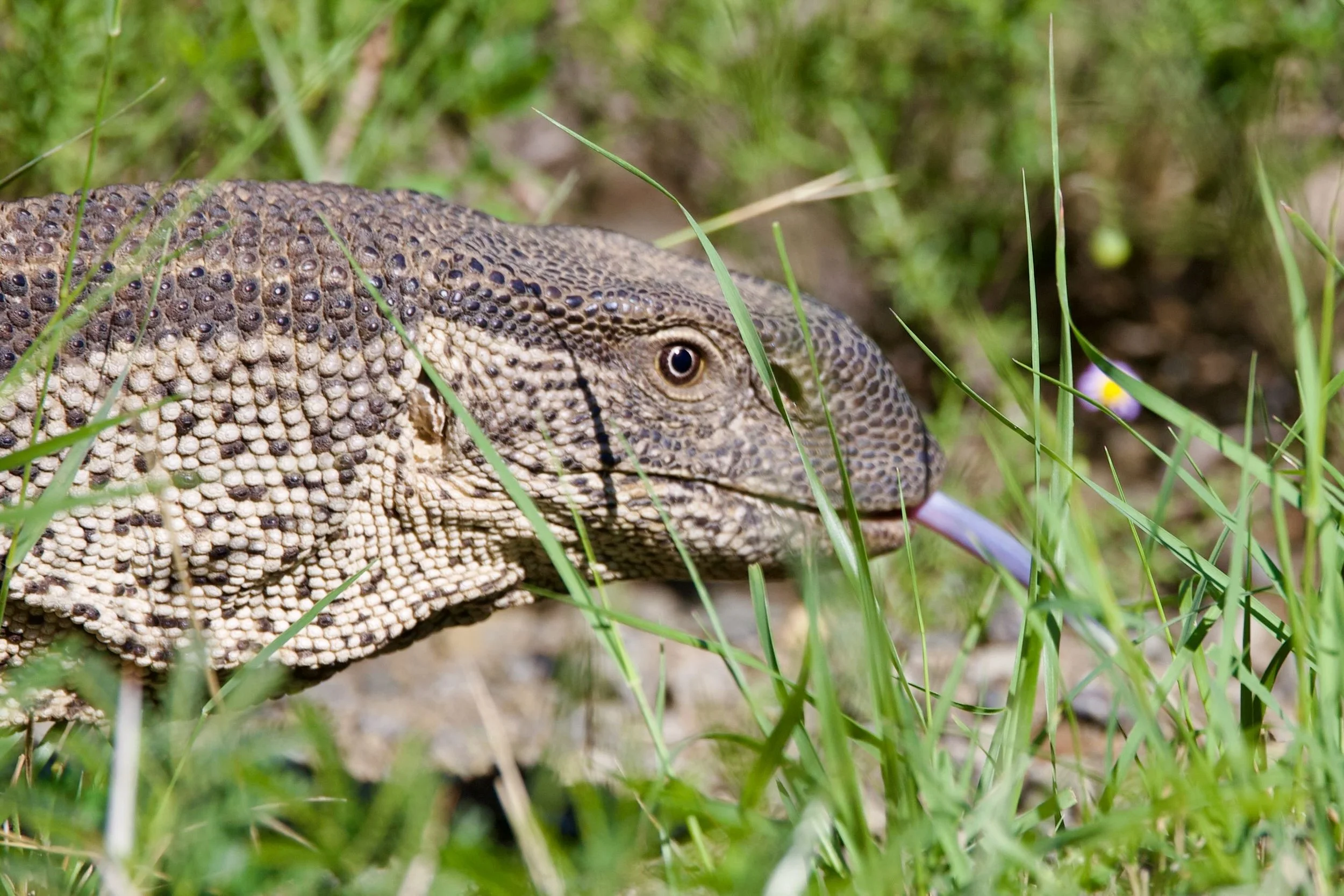 Untitled - 15 of 15.jpeg