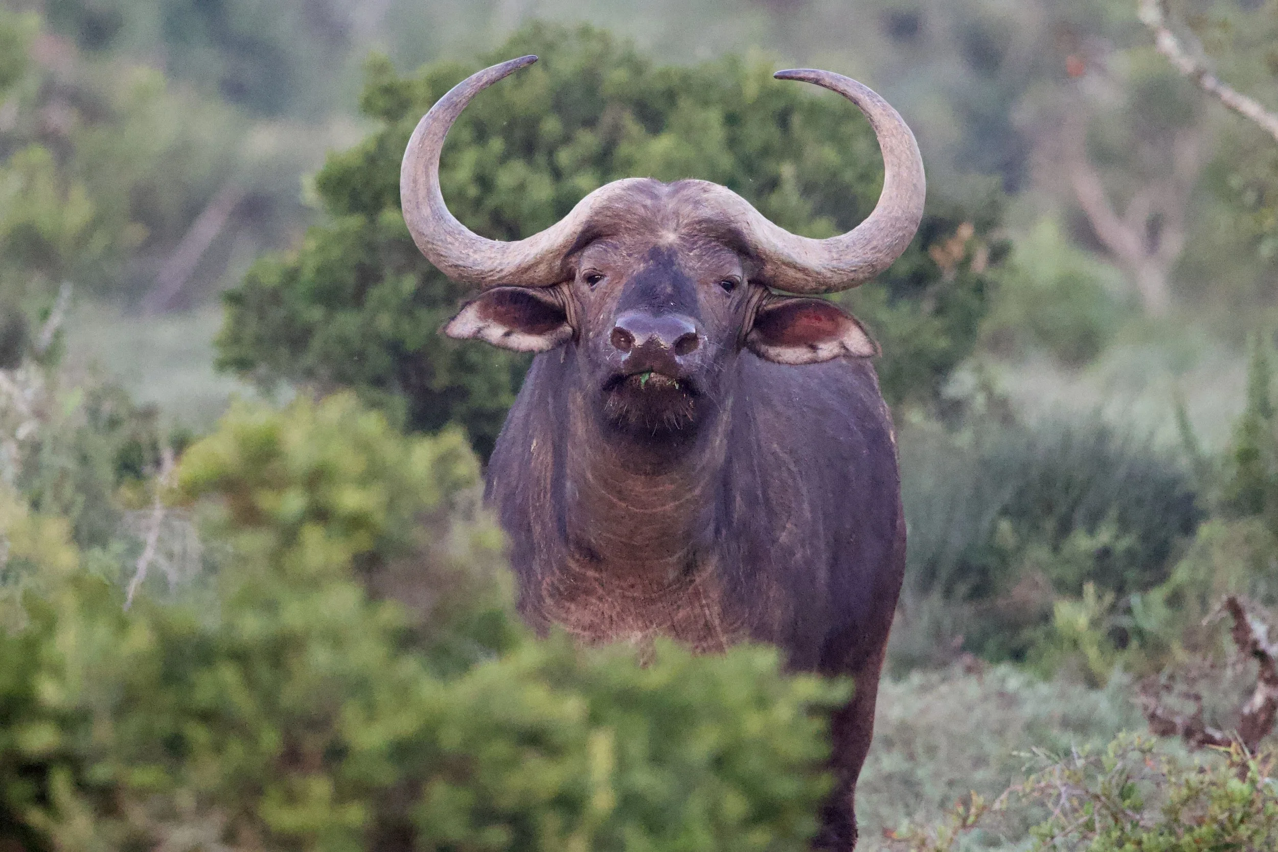 Untitled - 5 of 25.jpeg