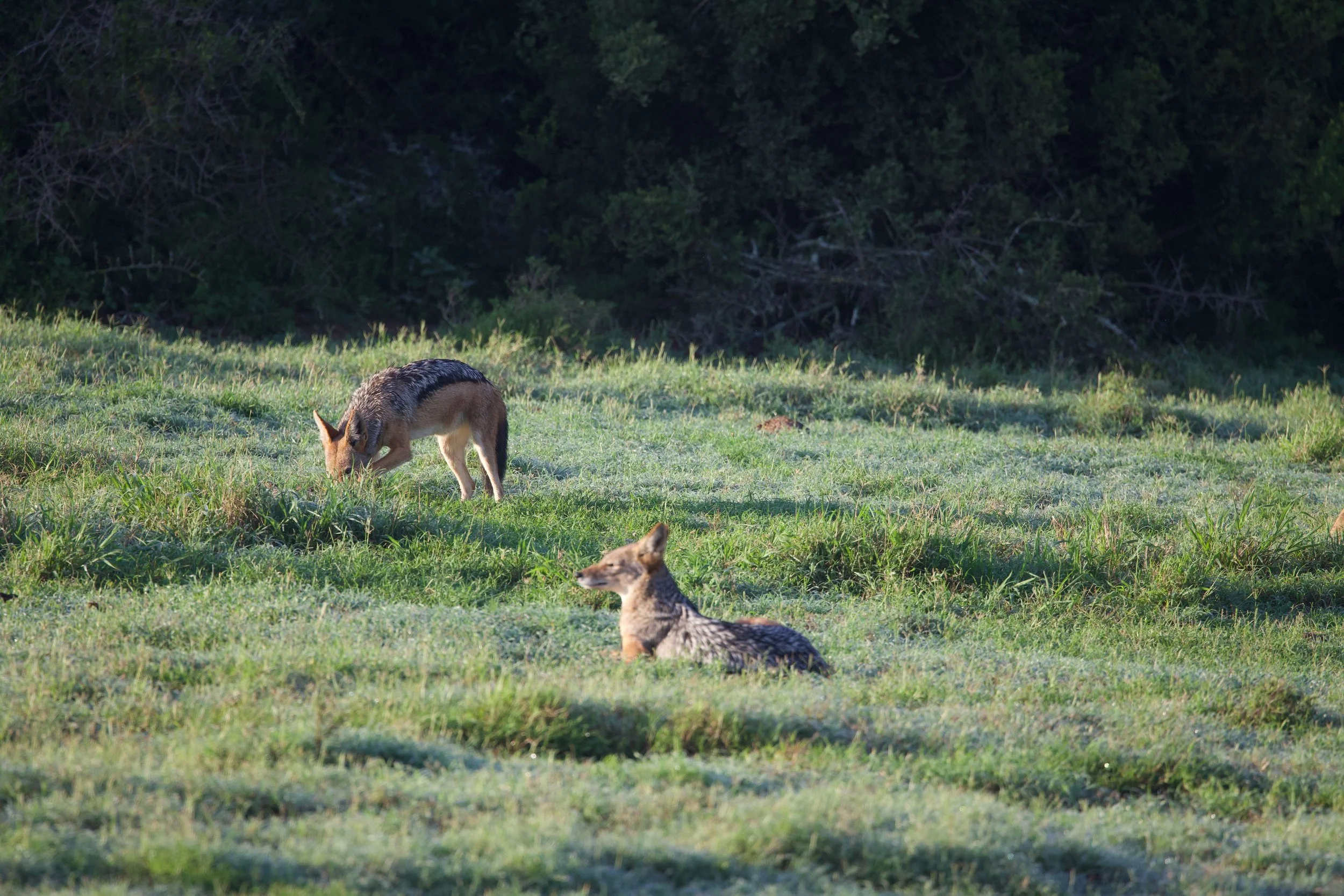 Untitled - 1 of 25.jpeg