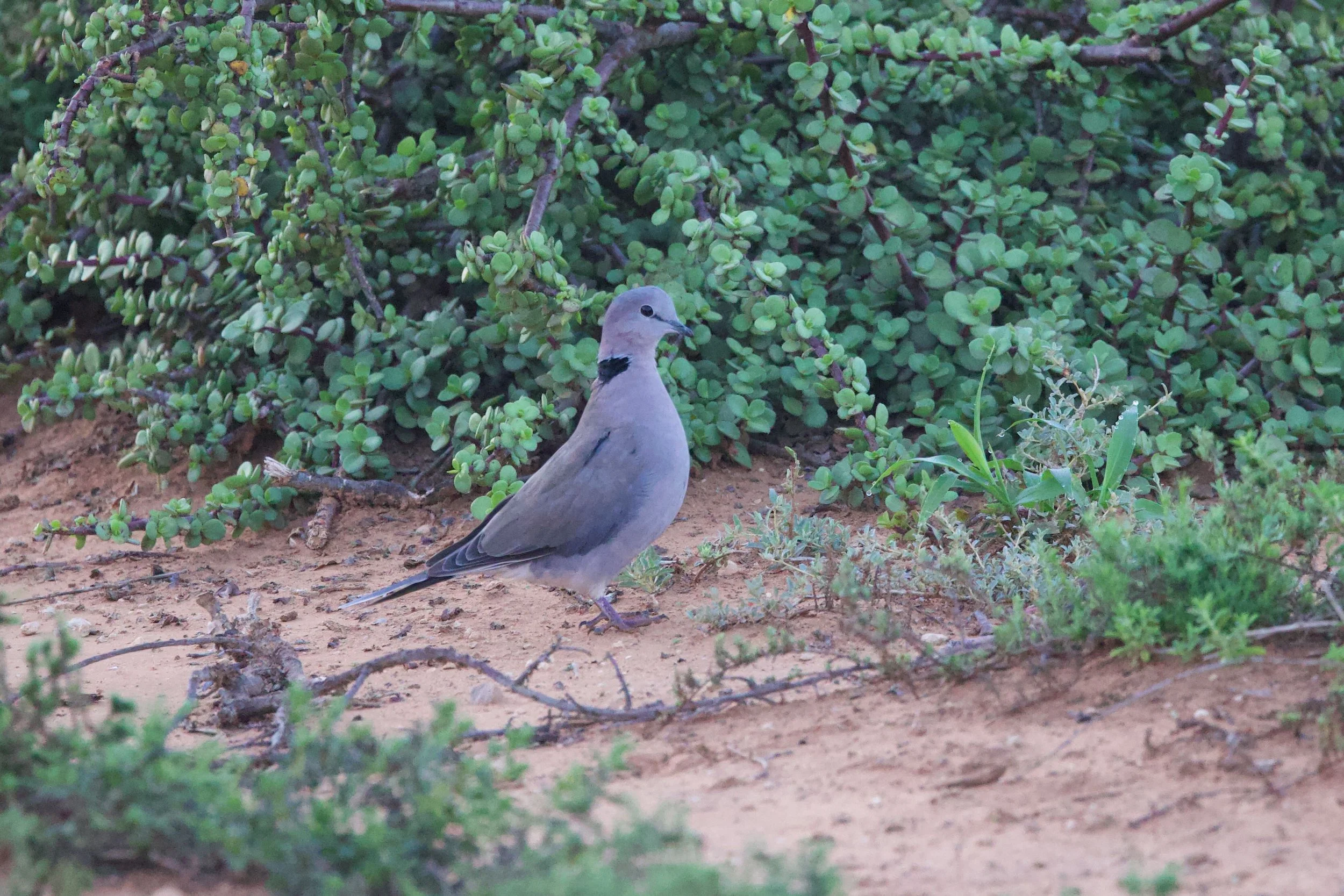 Untitled - 4 of 25.jpeg