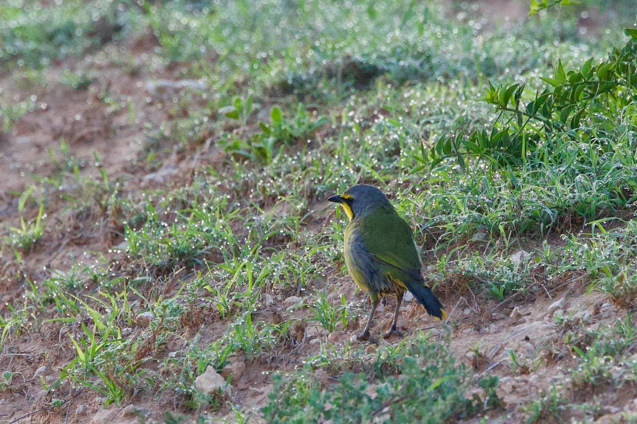 Untitled - 3 of 25.jpeg