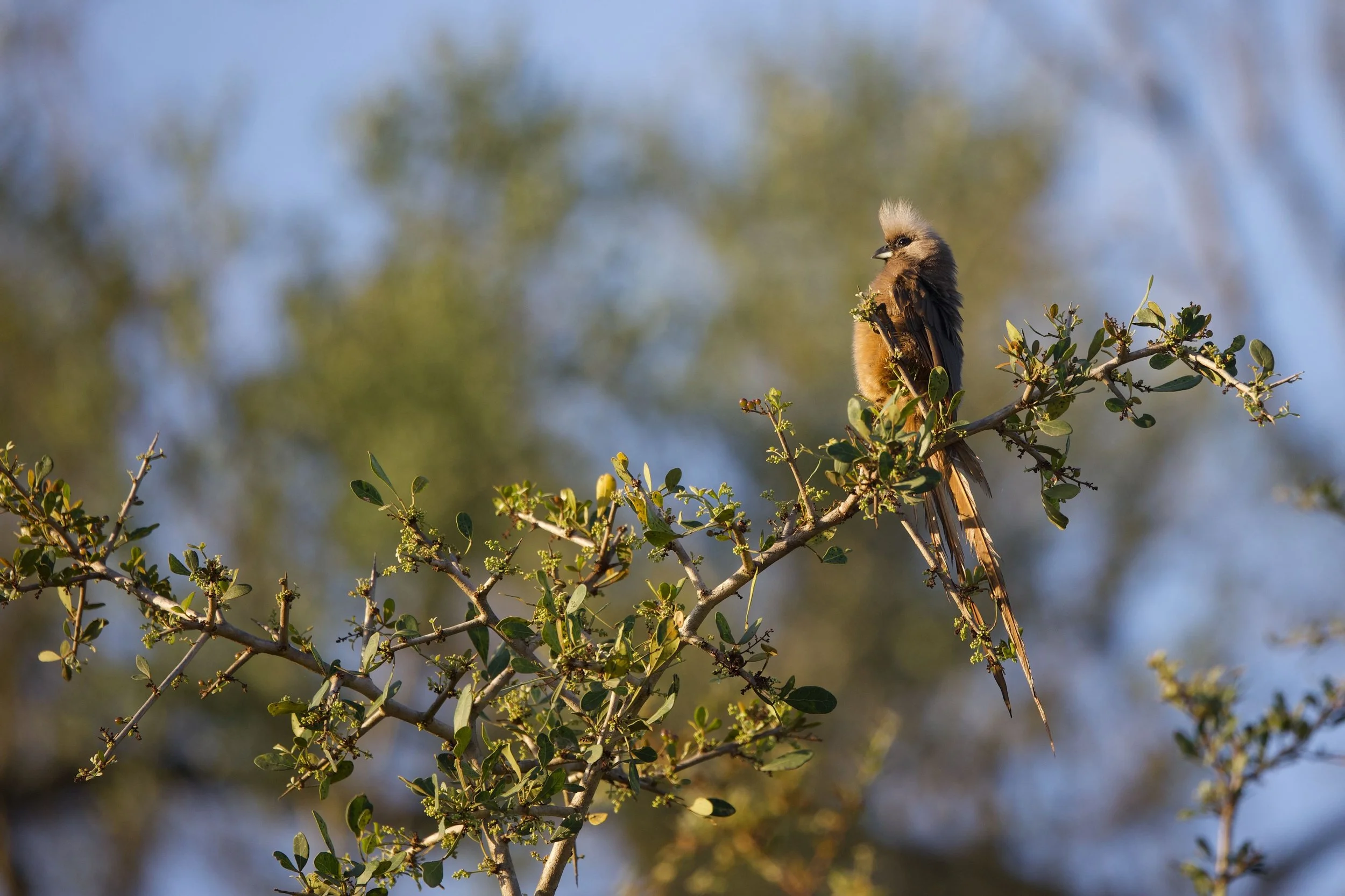 Untitled - 2 of 25.jpeg