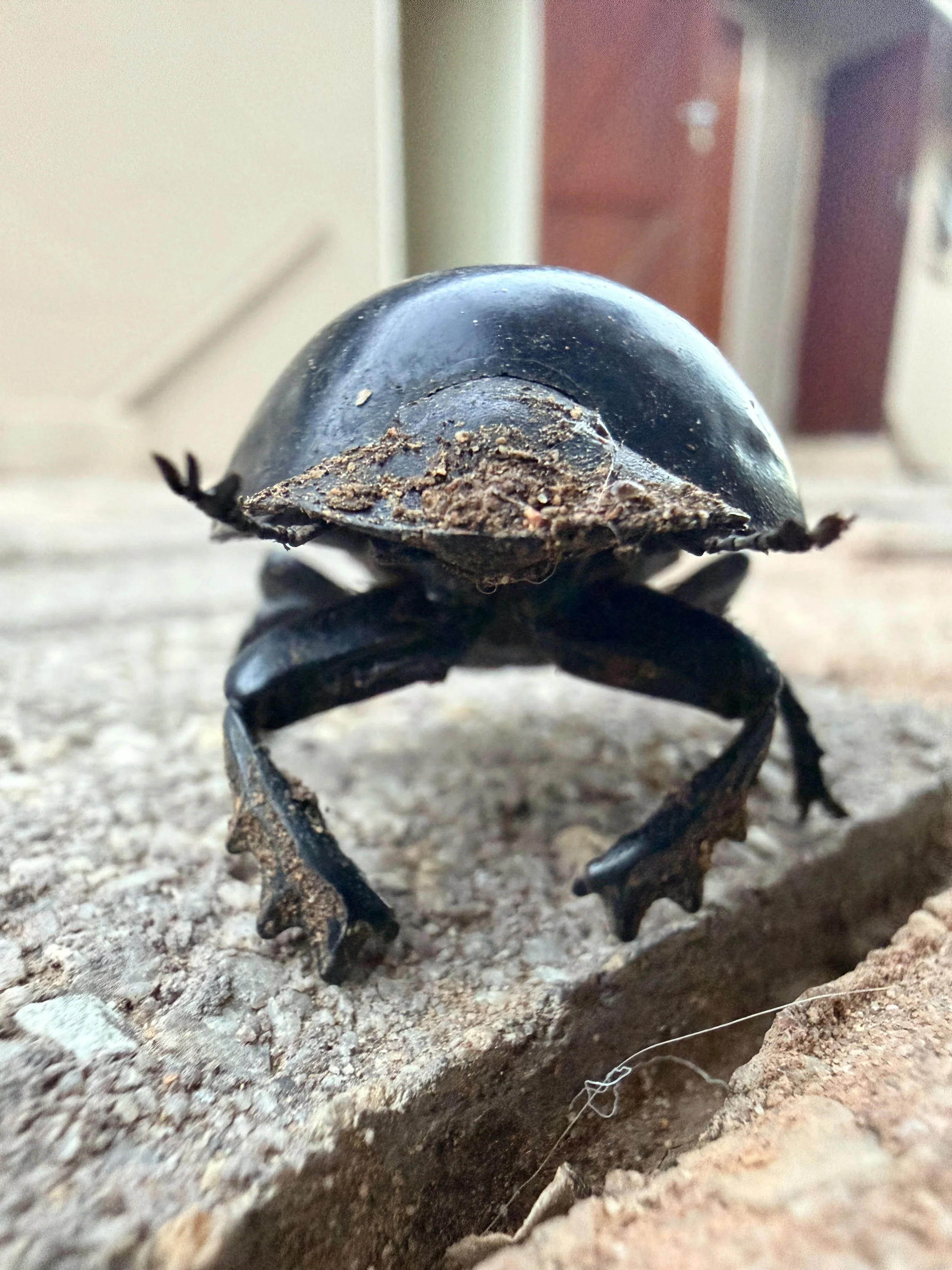 Untitled - 10 of 25.jpeg