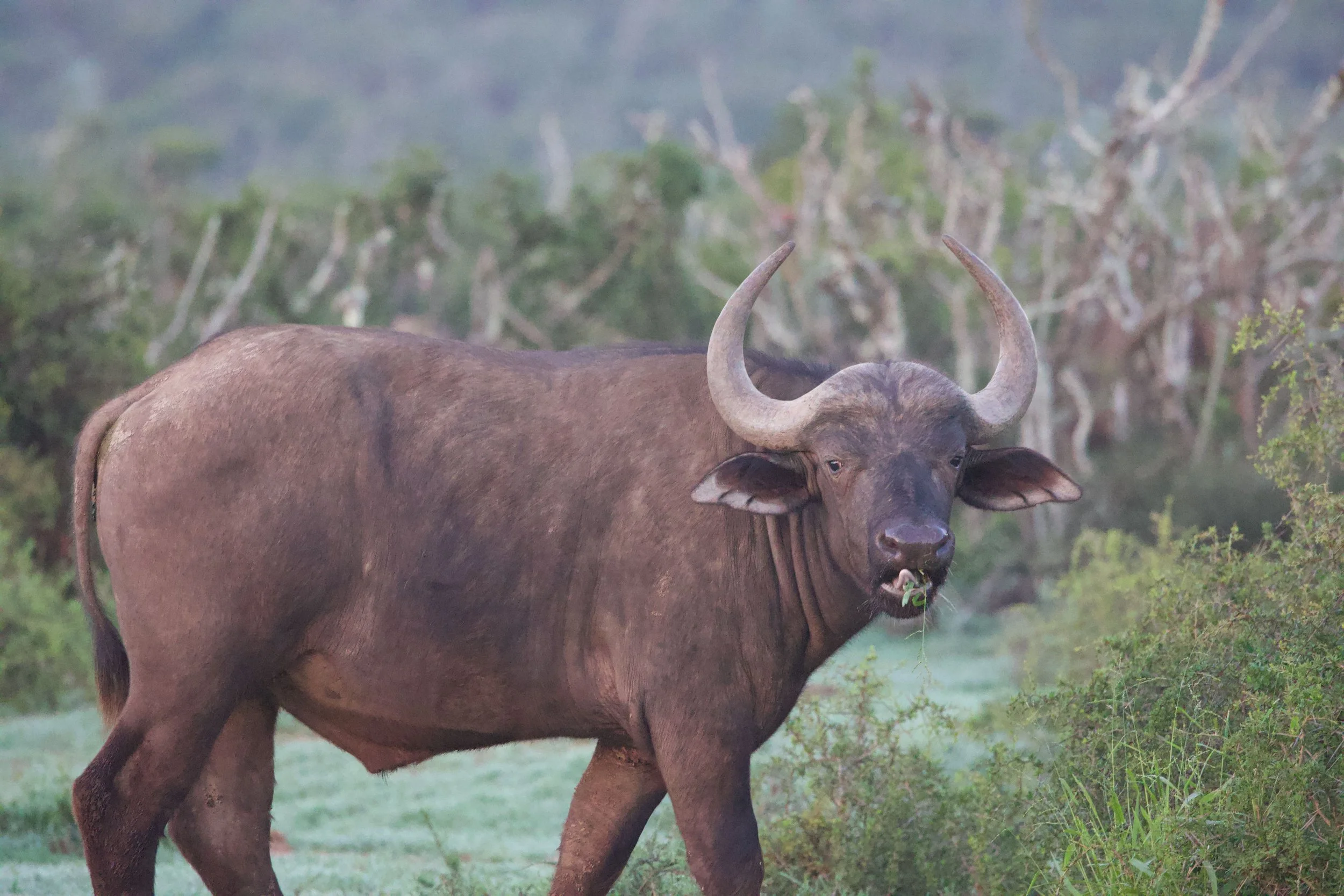 Untitled - 6 of 25.jpeg