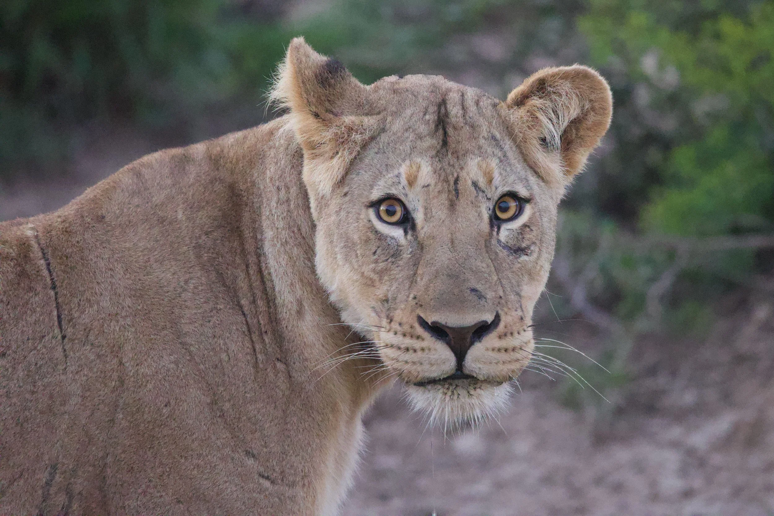 Untitled - 9 of 25.jpeg