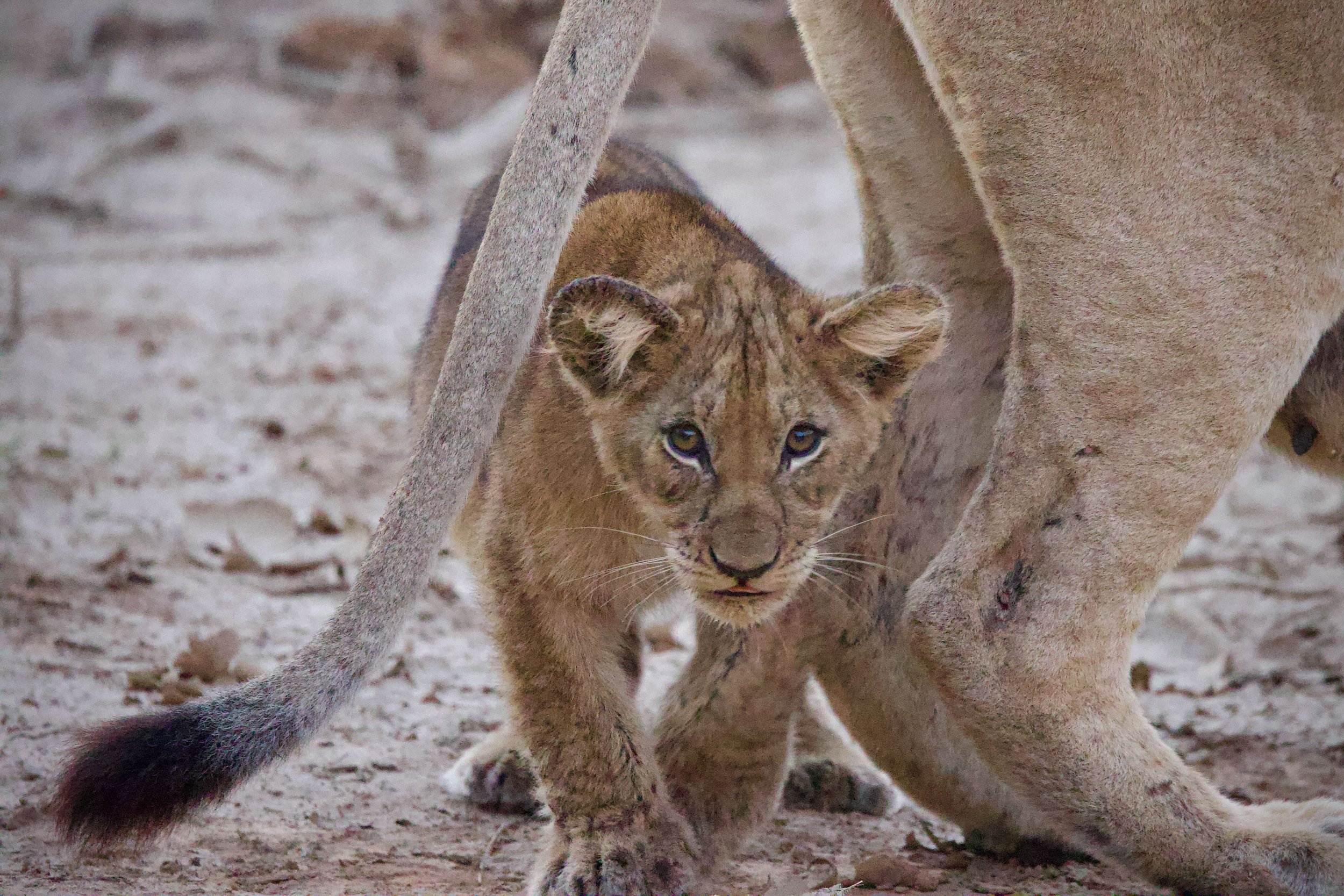 Untitled - 8 of 25.jpeg