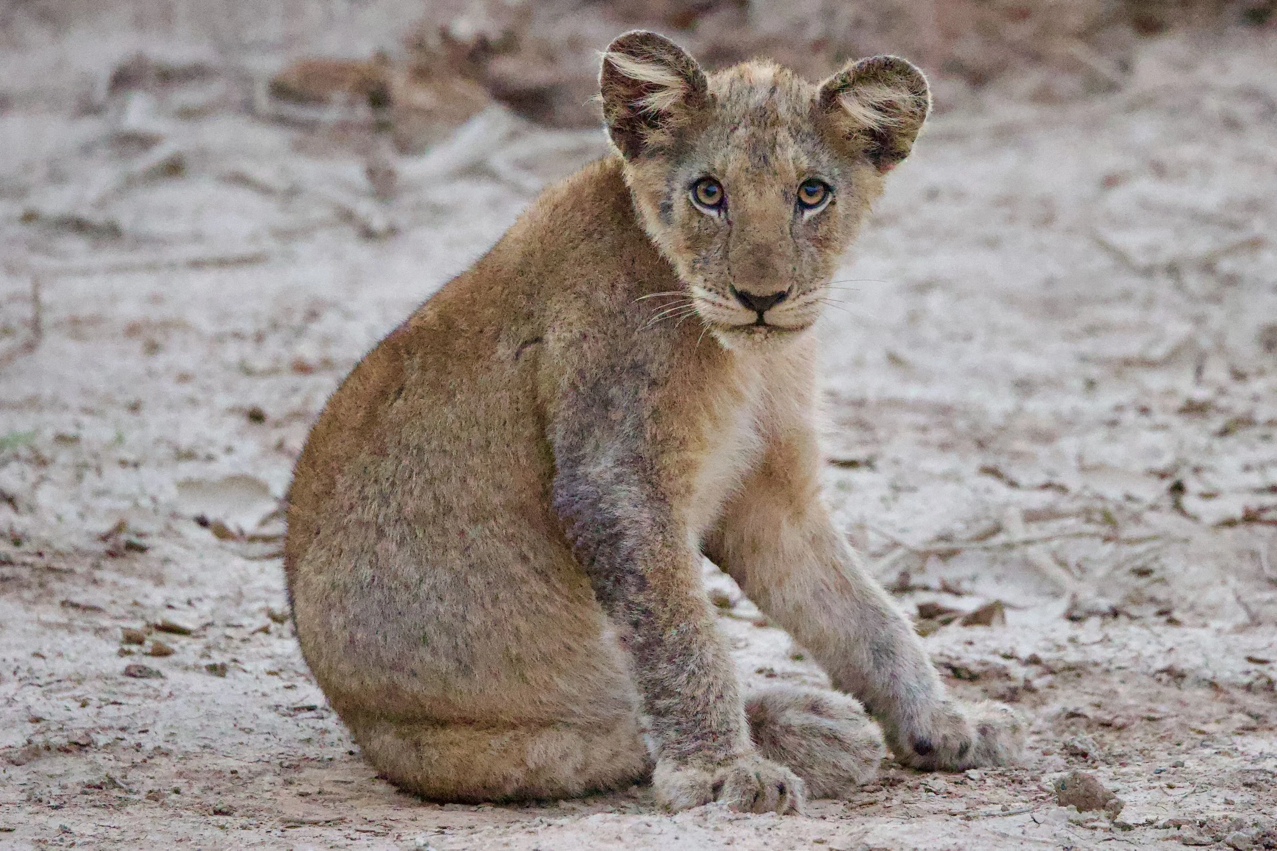 Untitled - 7 of 25.jpeg