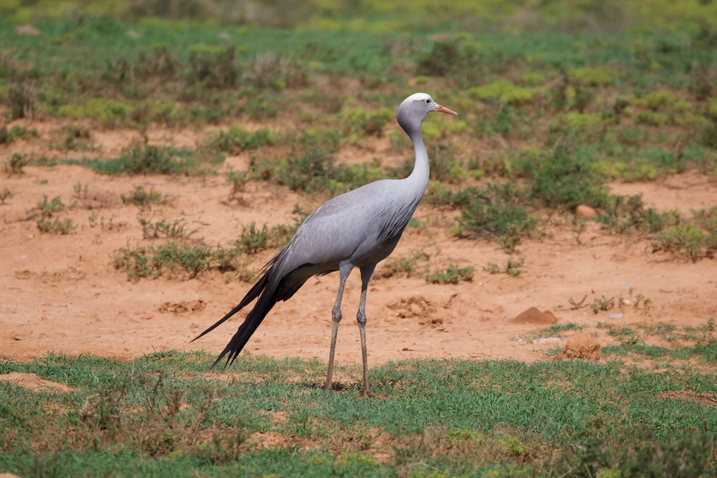 Untitled - 20 of 25.jpeg