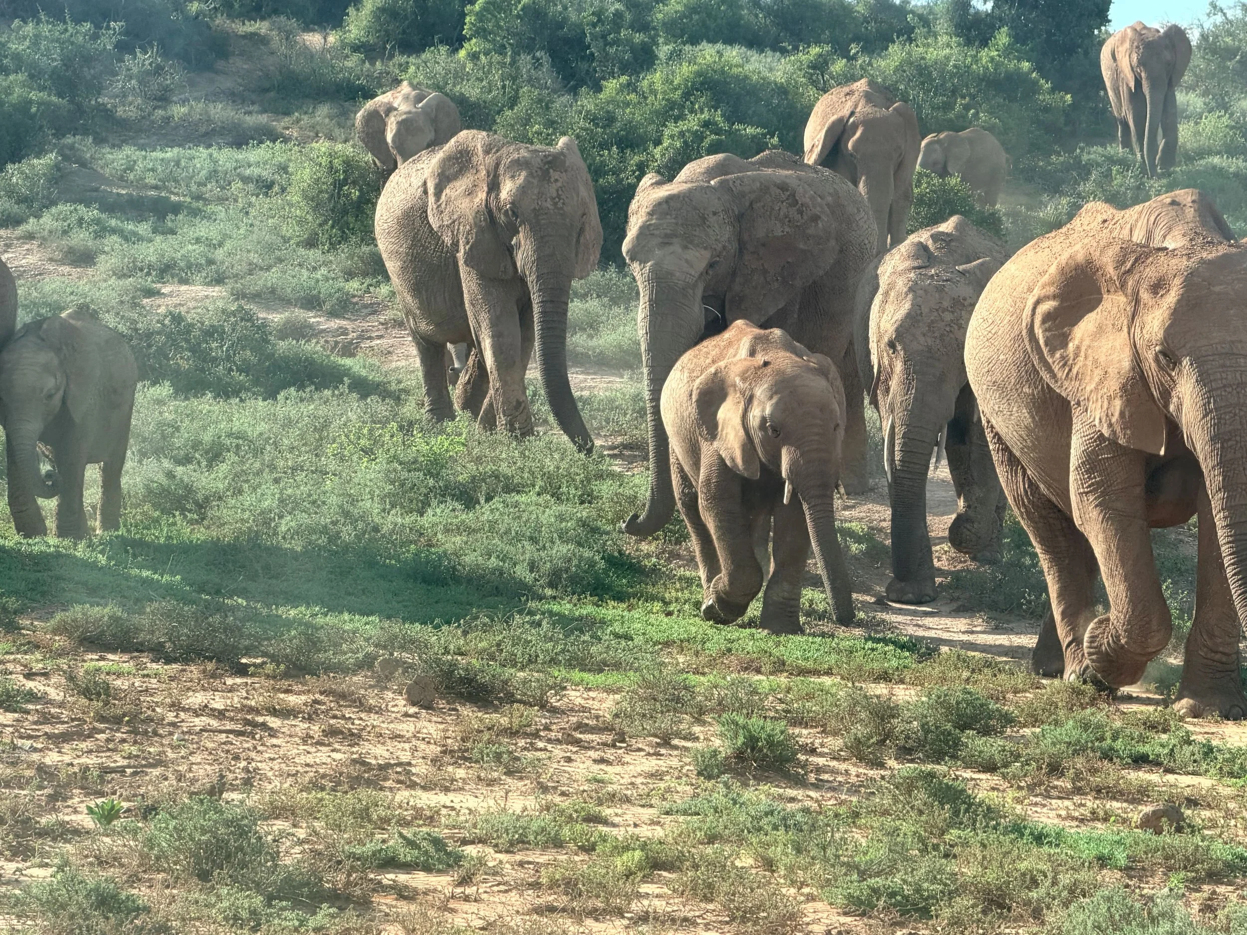 Untitled - 11 of 25.jpeg