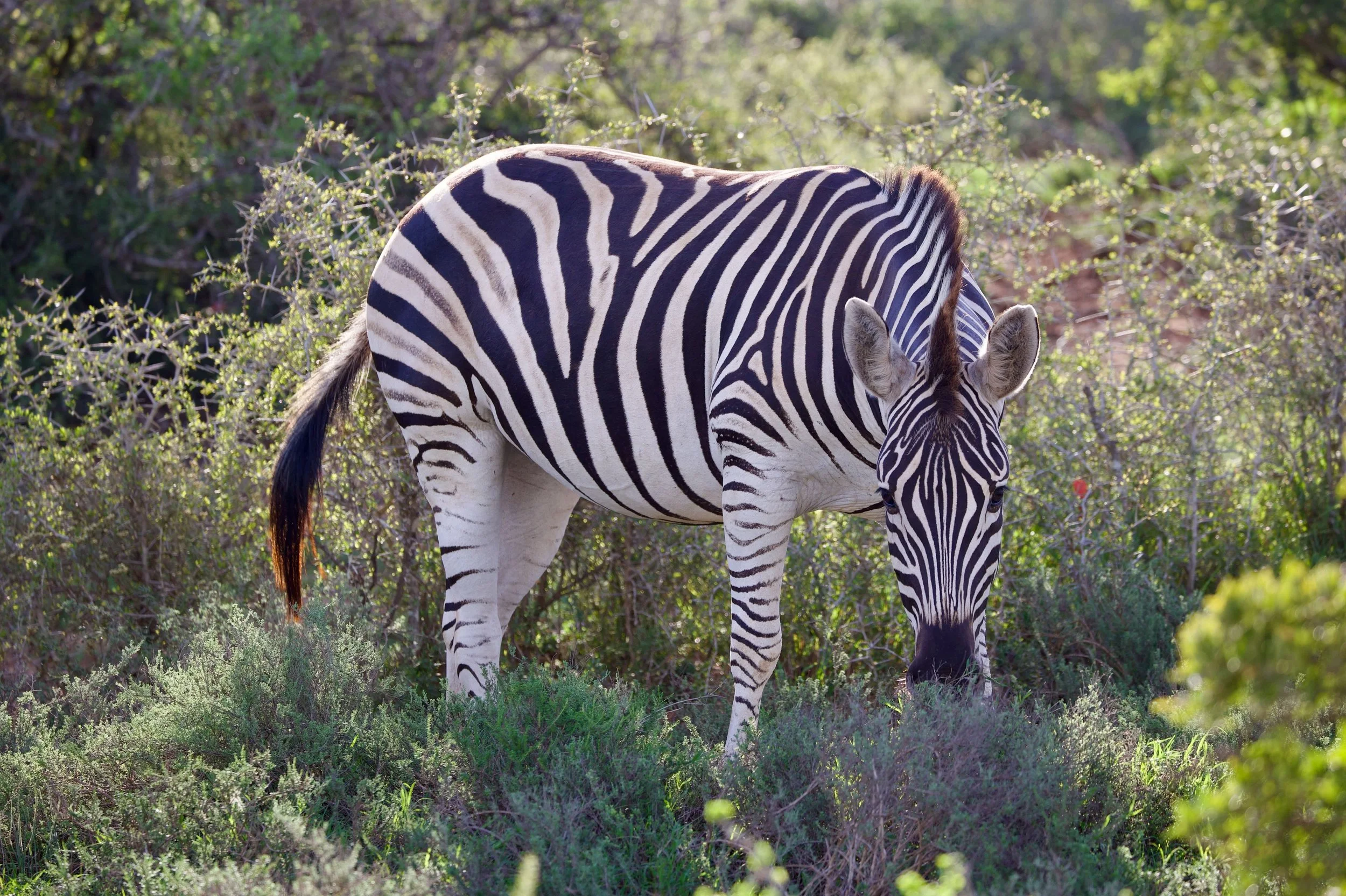 Untitled - 14 of 25.jpeg