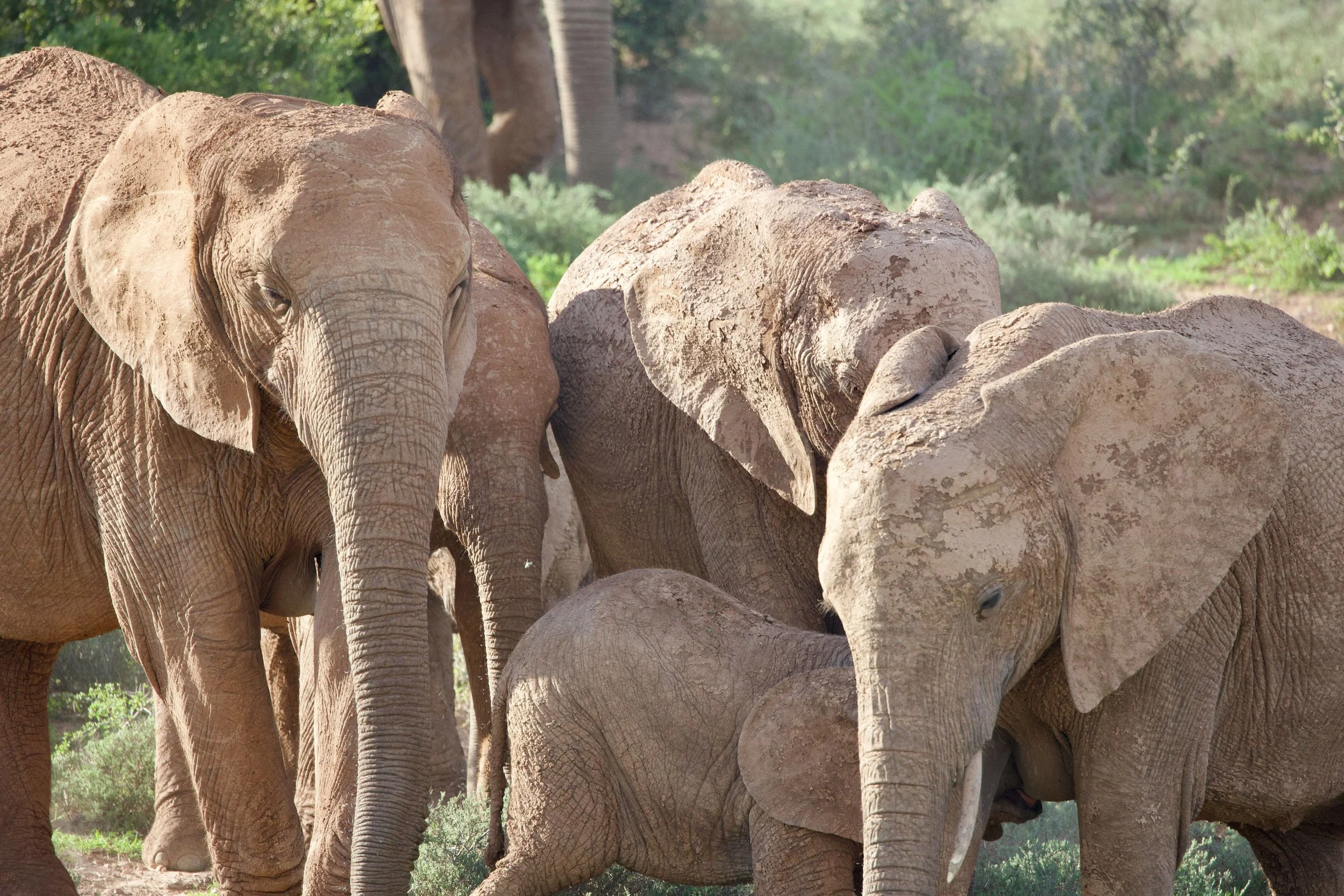 Untitled - 15 of 25.jpeg