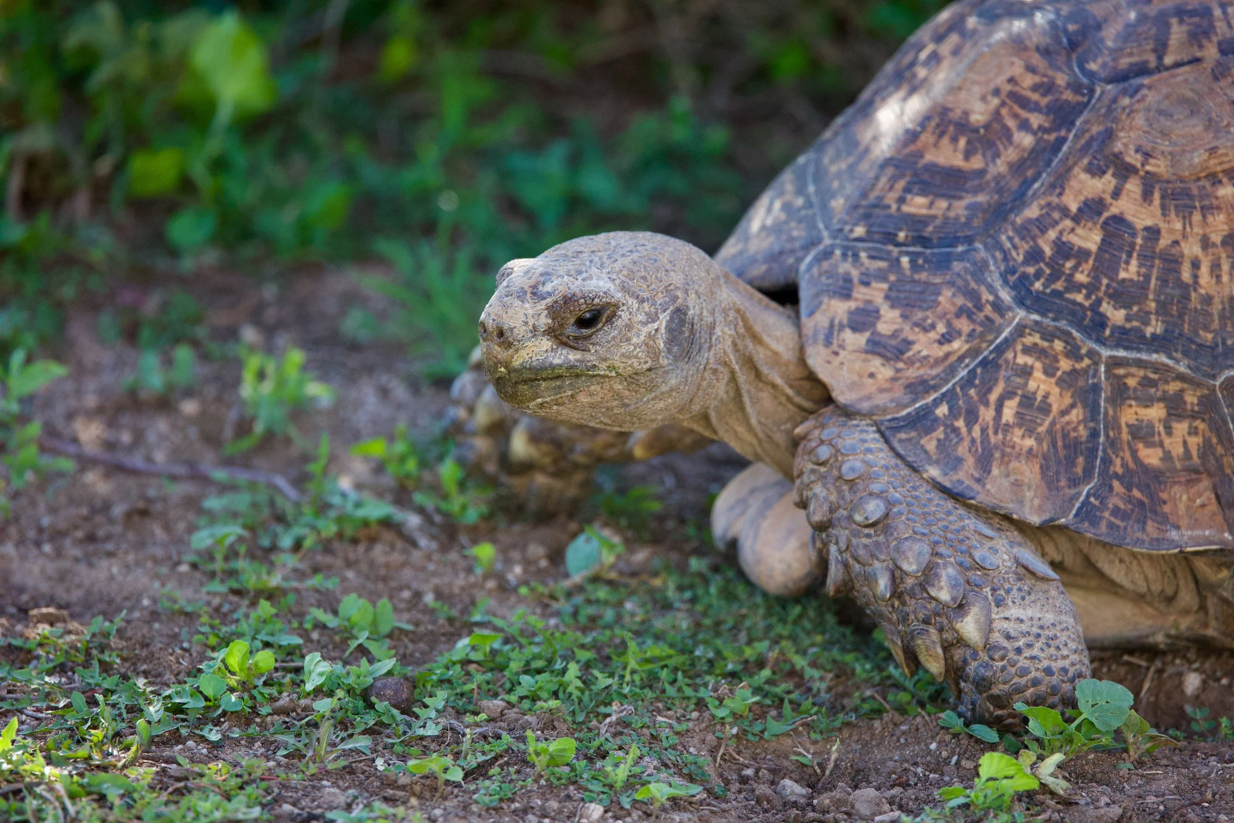 Untitled - 13 of 25.jpeg