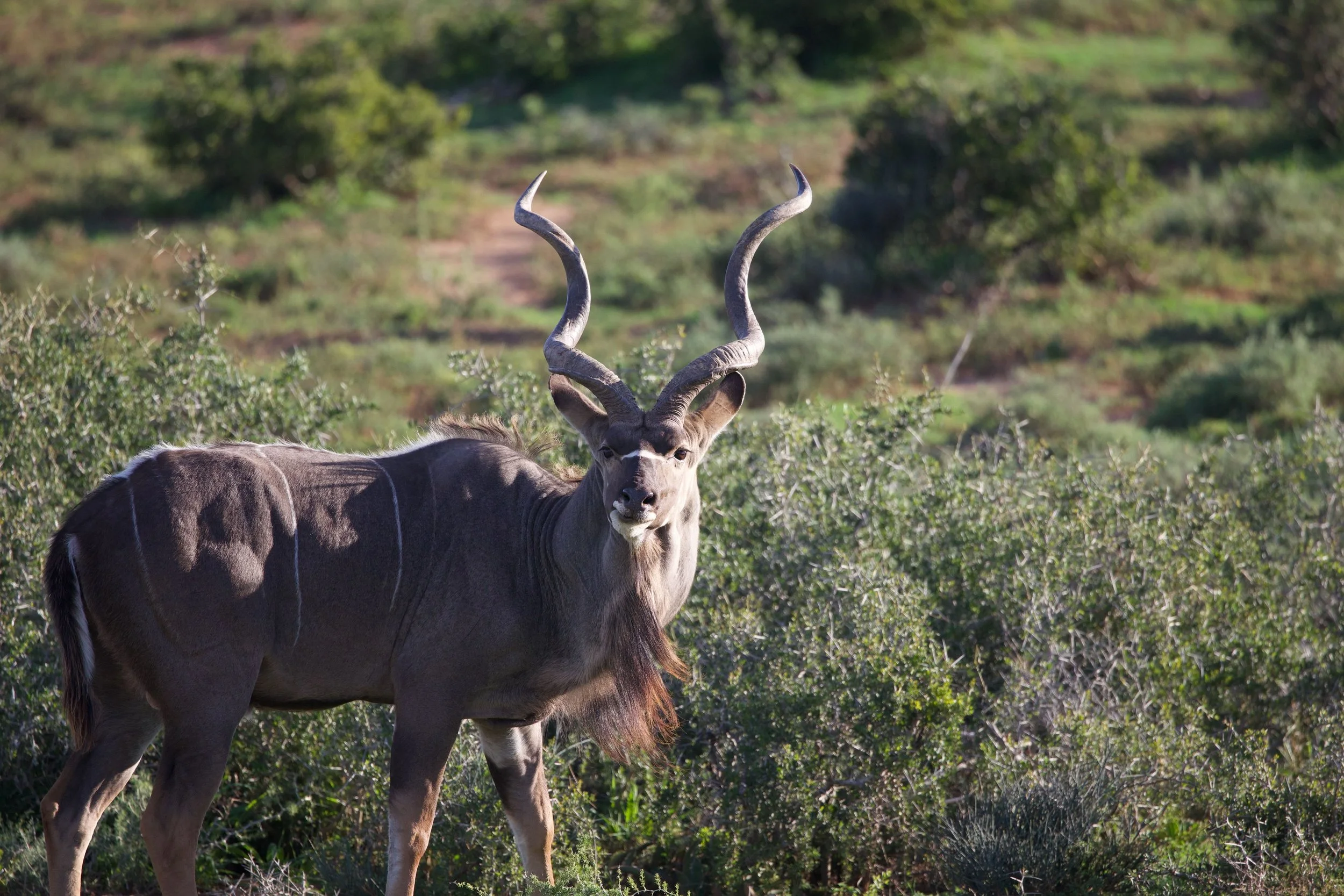 Untitled - 12 of 25.jpeg