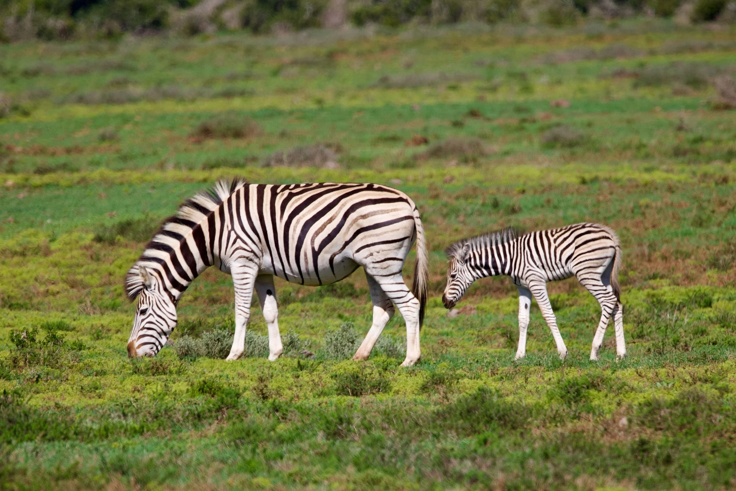 Untitled - 21 of 25.jpeg