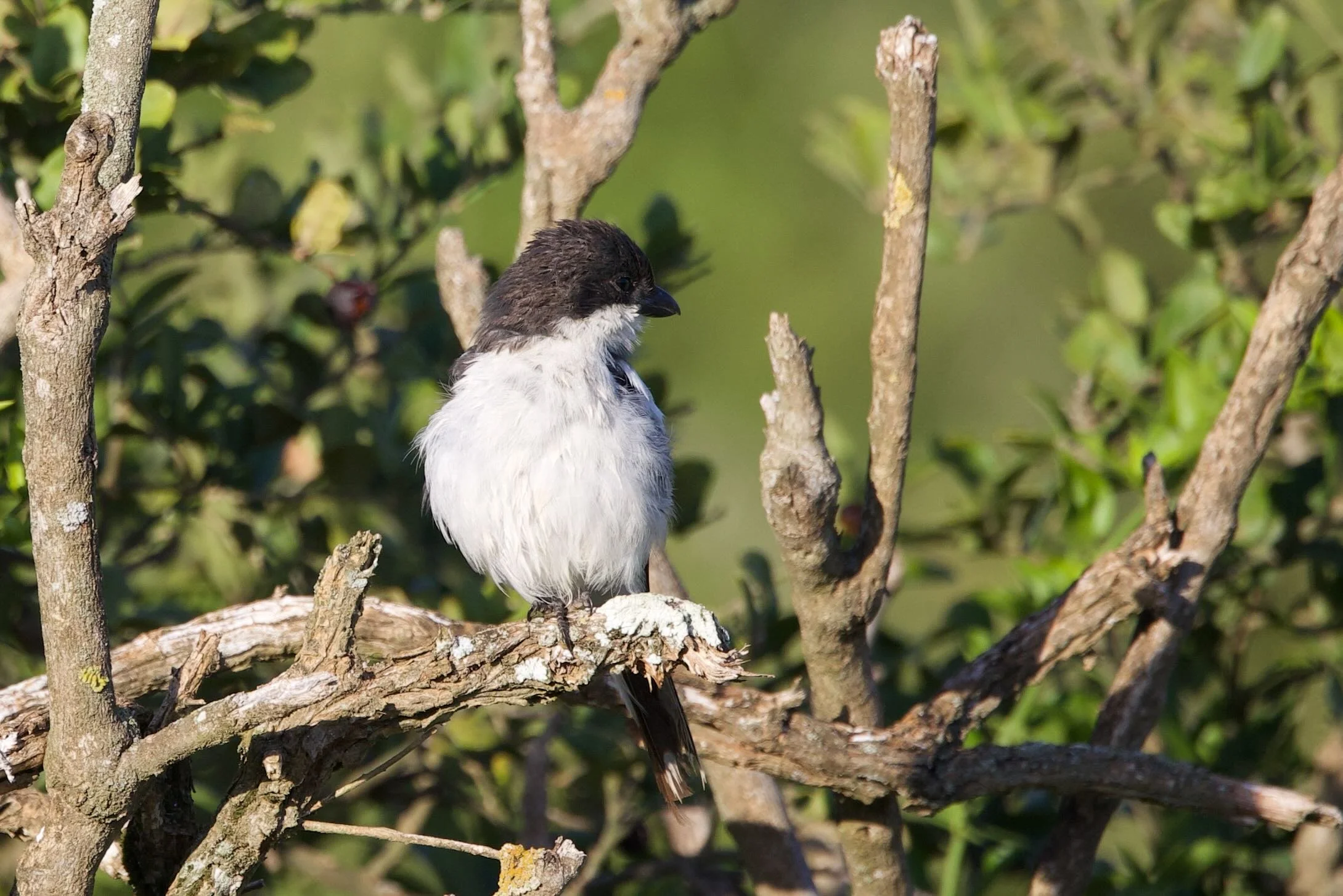 Untitled - 9 of 10.jpeg