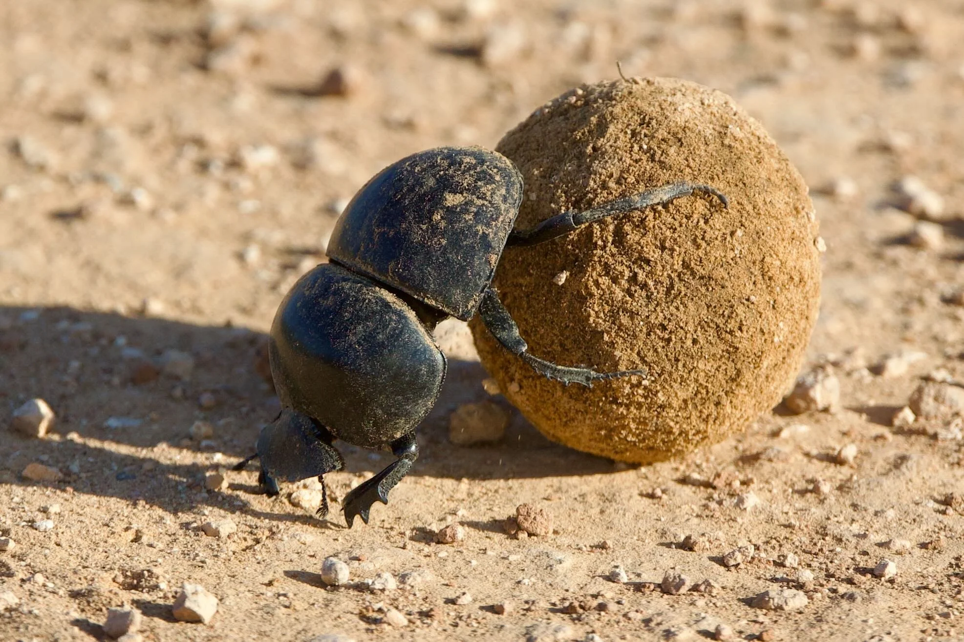 Untitled - 8 of 10.jpeg