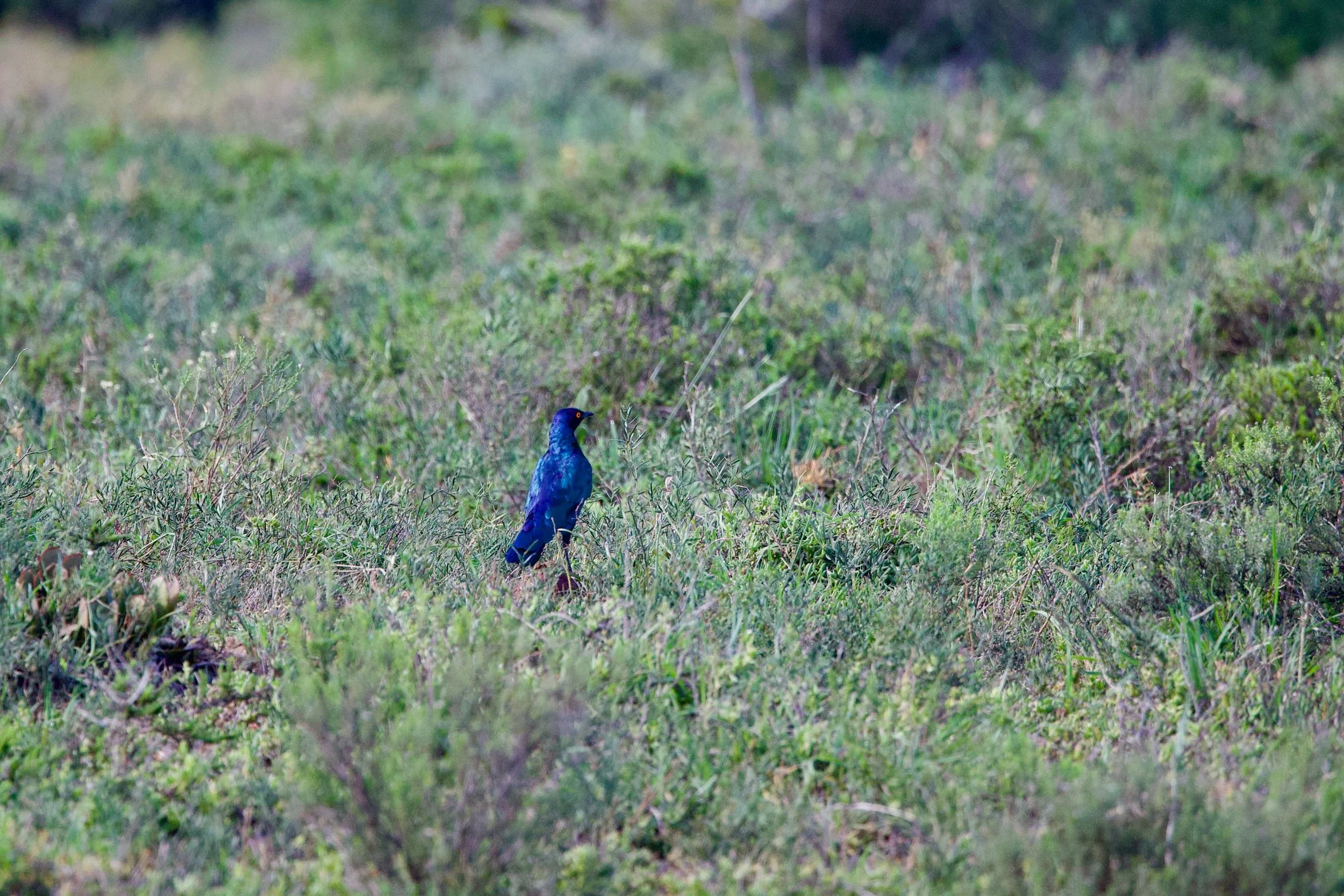 Untitled - 7 of 10.jpeg