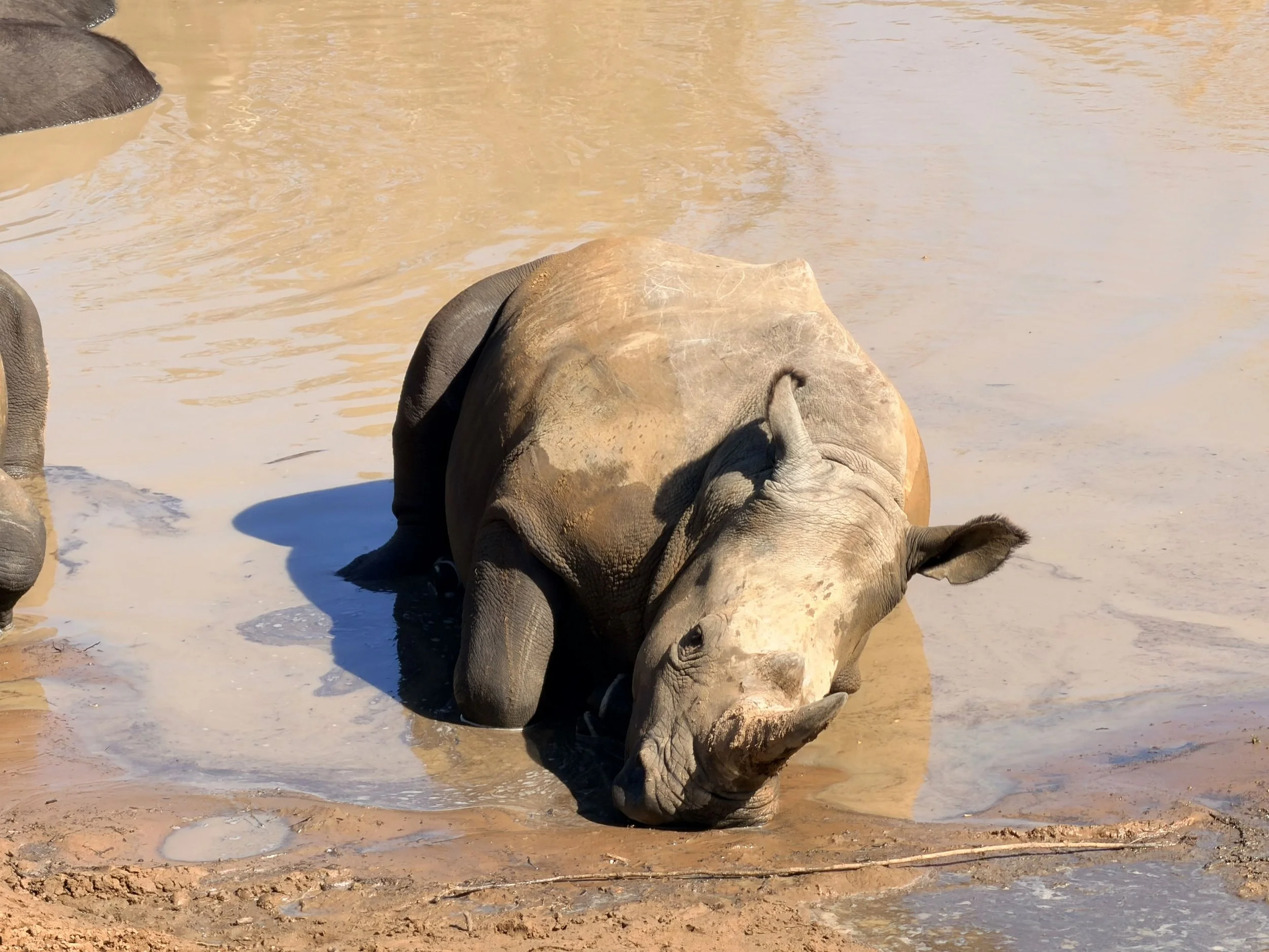 Untitled - 5 of 10.jpeg