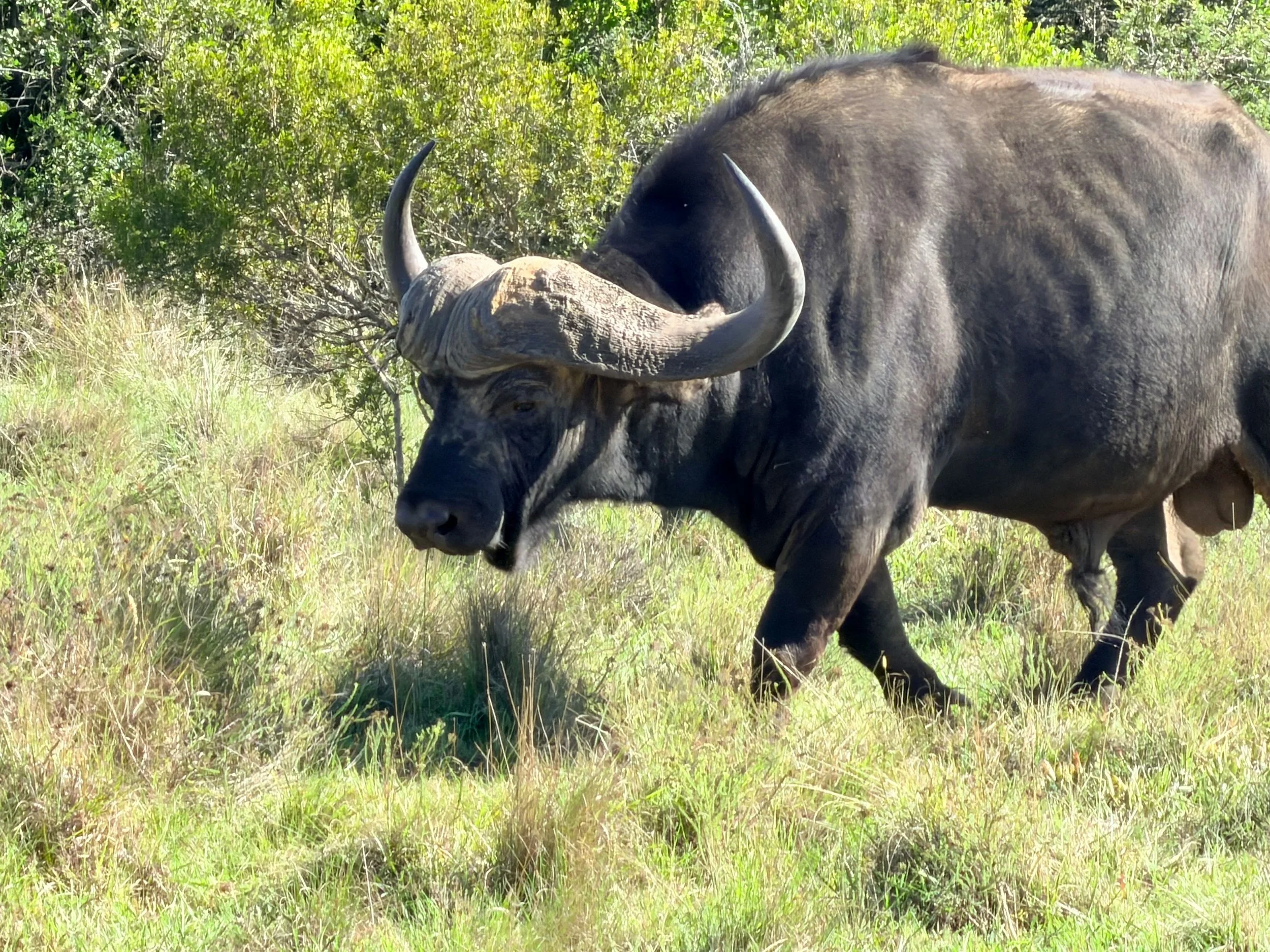 Untitled - 4 of 10.jpeg