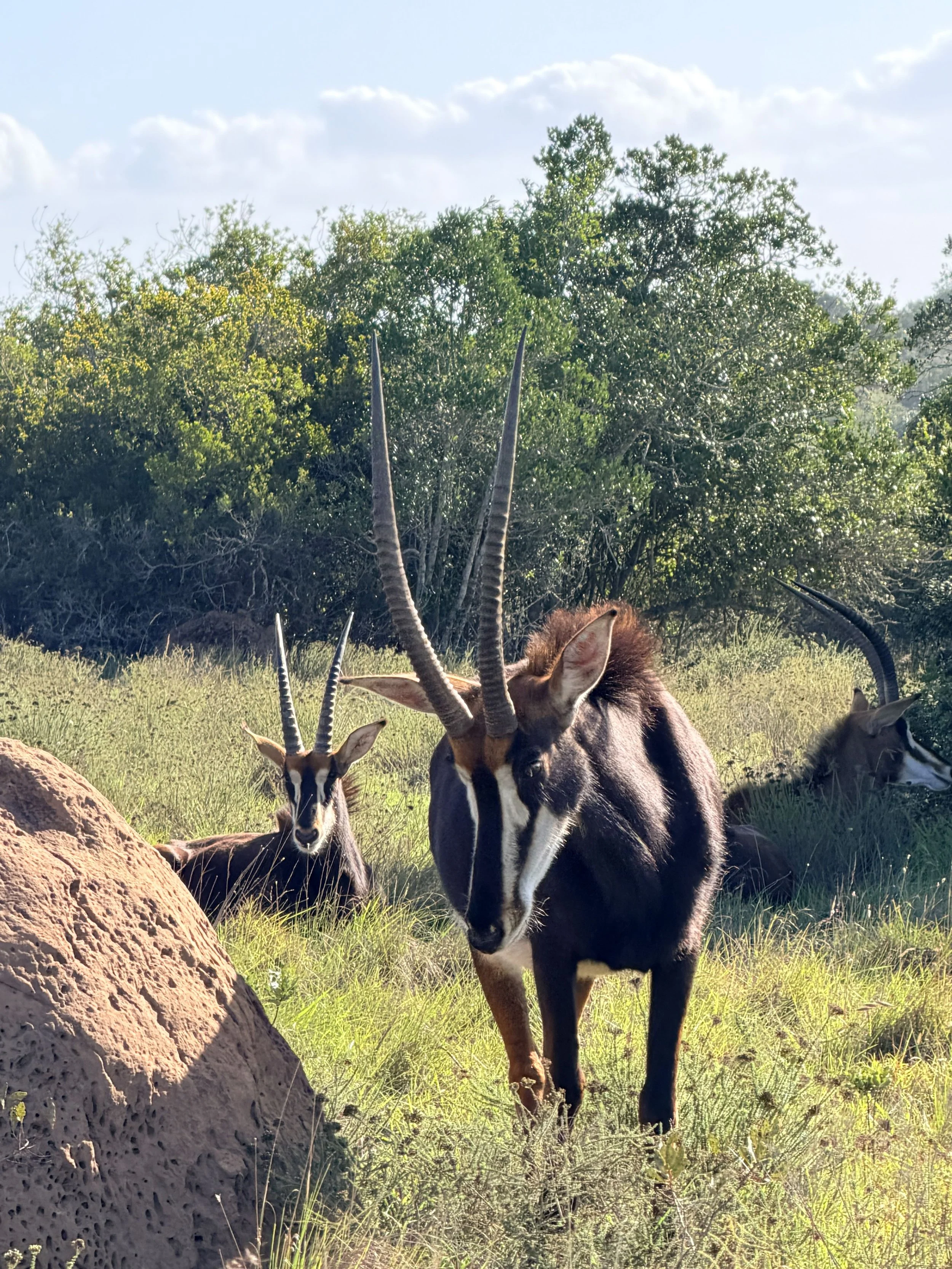 Untitled - 3 of 10.jpeg