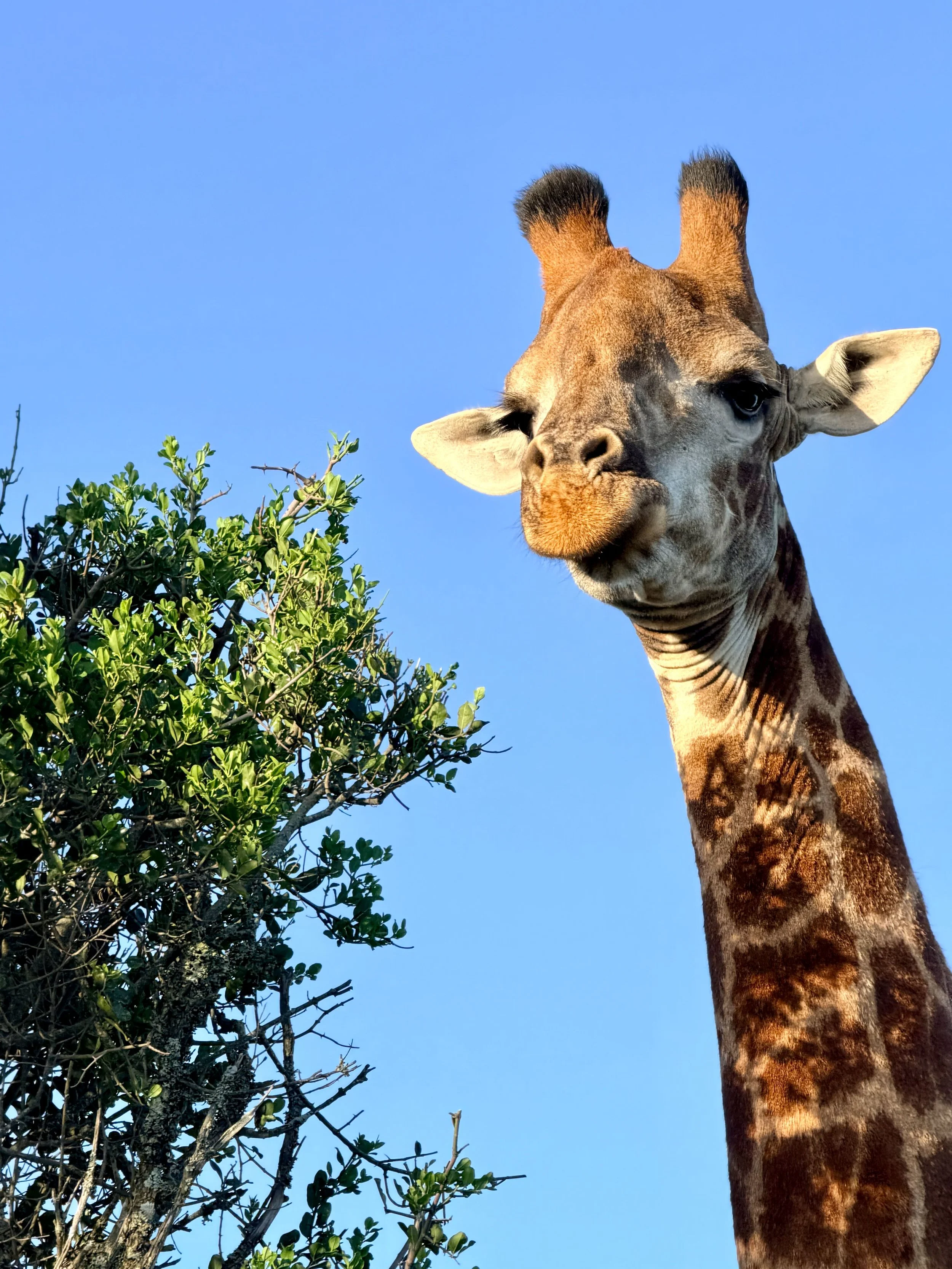 Untitled - 2 of 10.jpeg