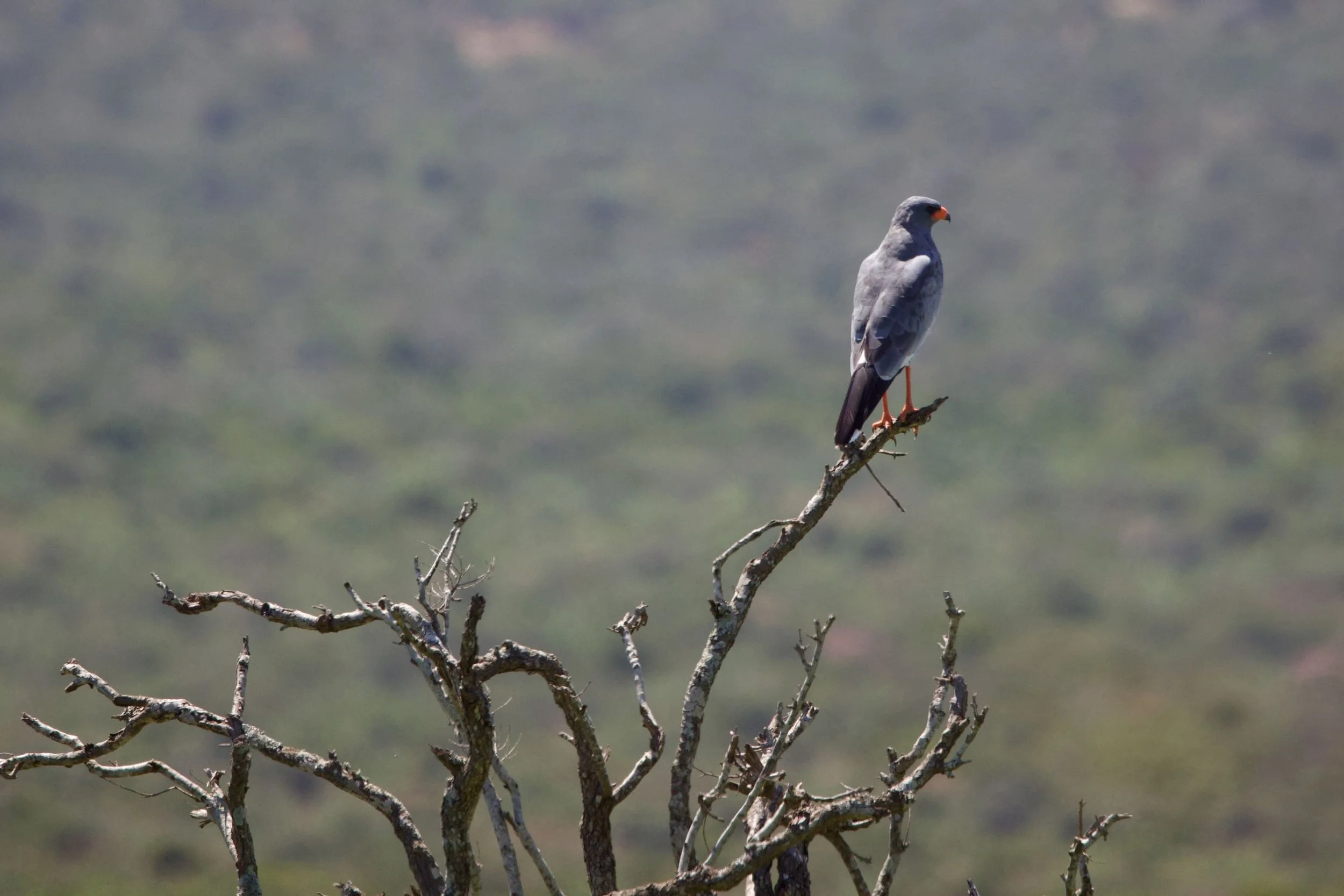 Untitled - 25 of 25.jpeg