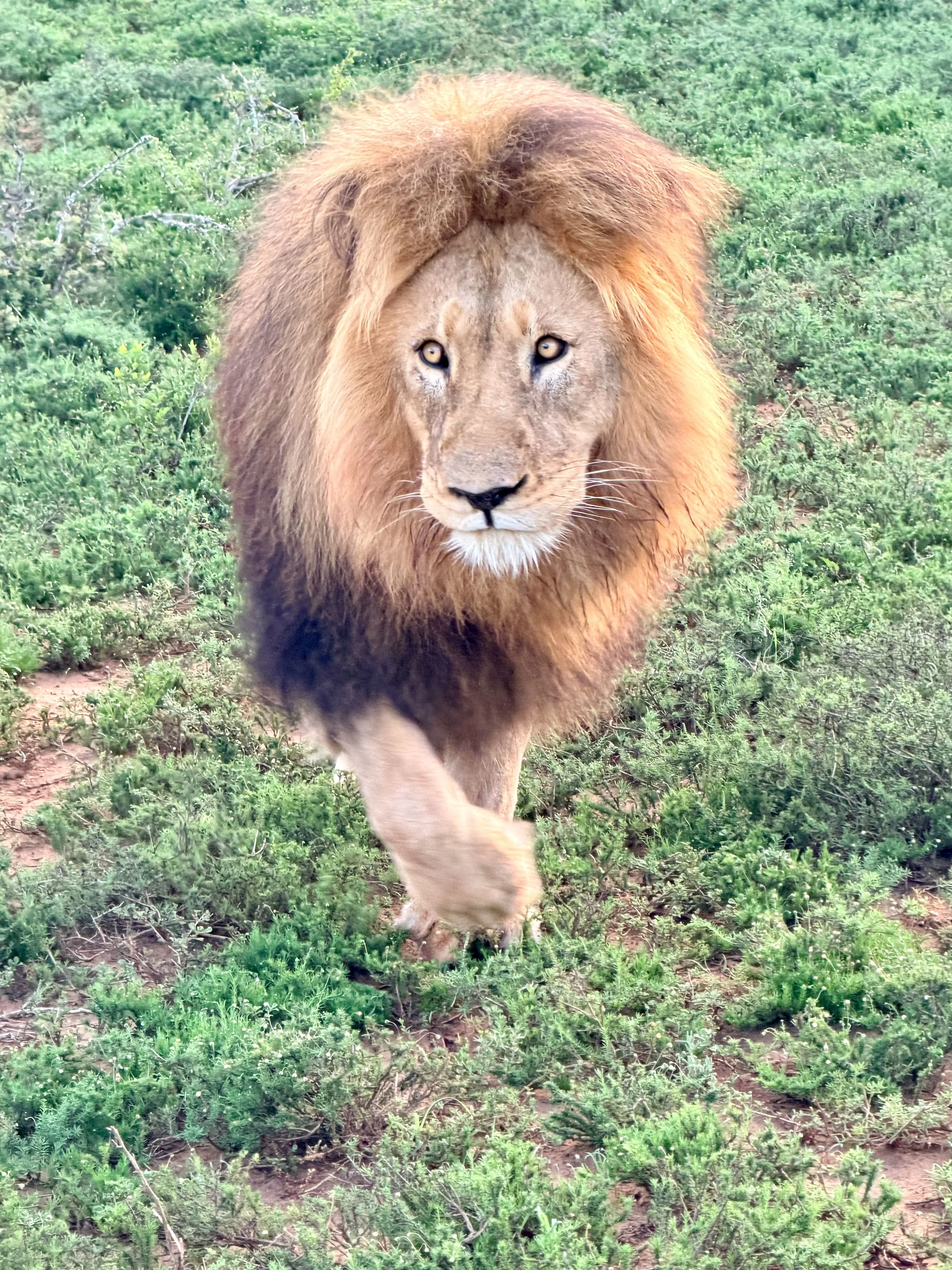 Untitled - 1 of 10.jpeg