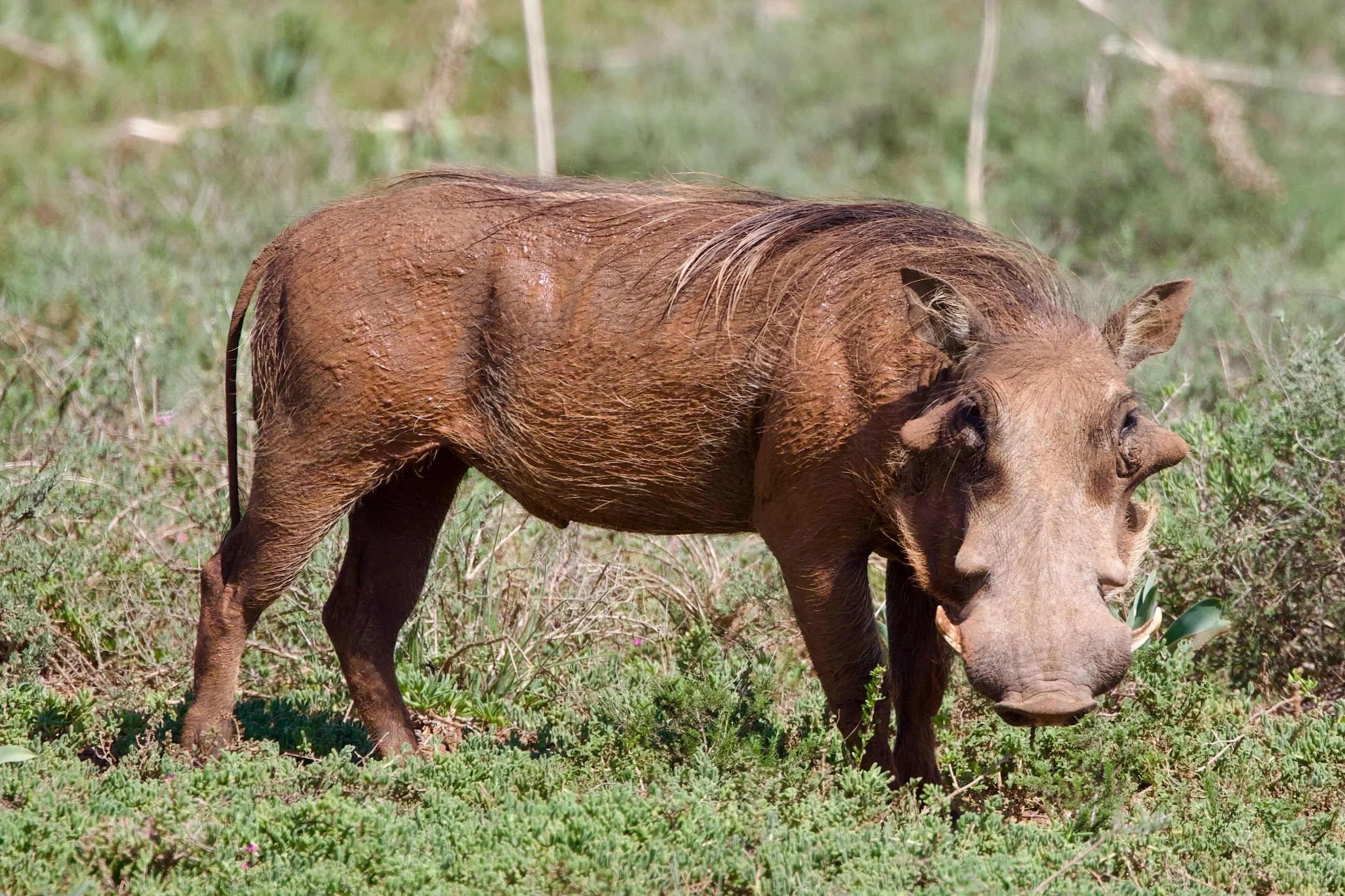 Untitled - 22 of 25.jpeg