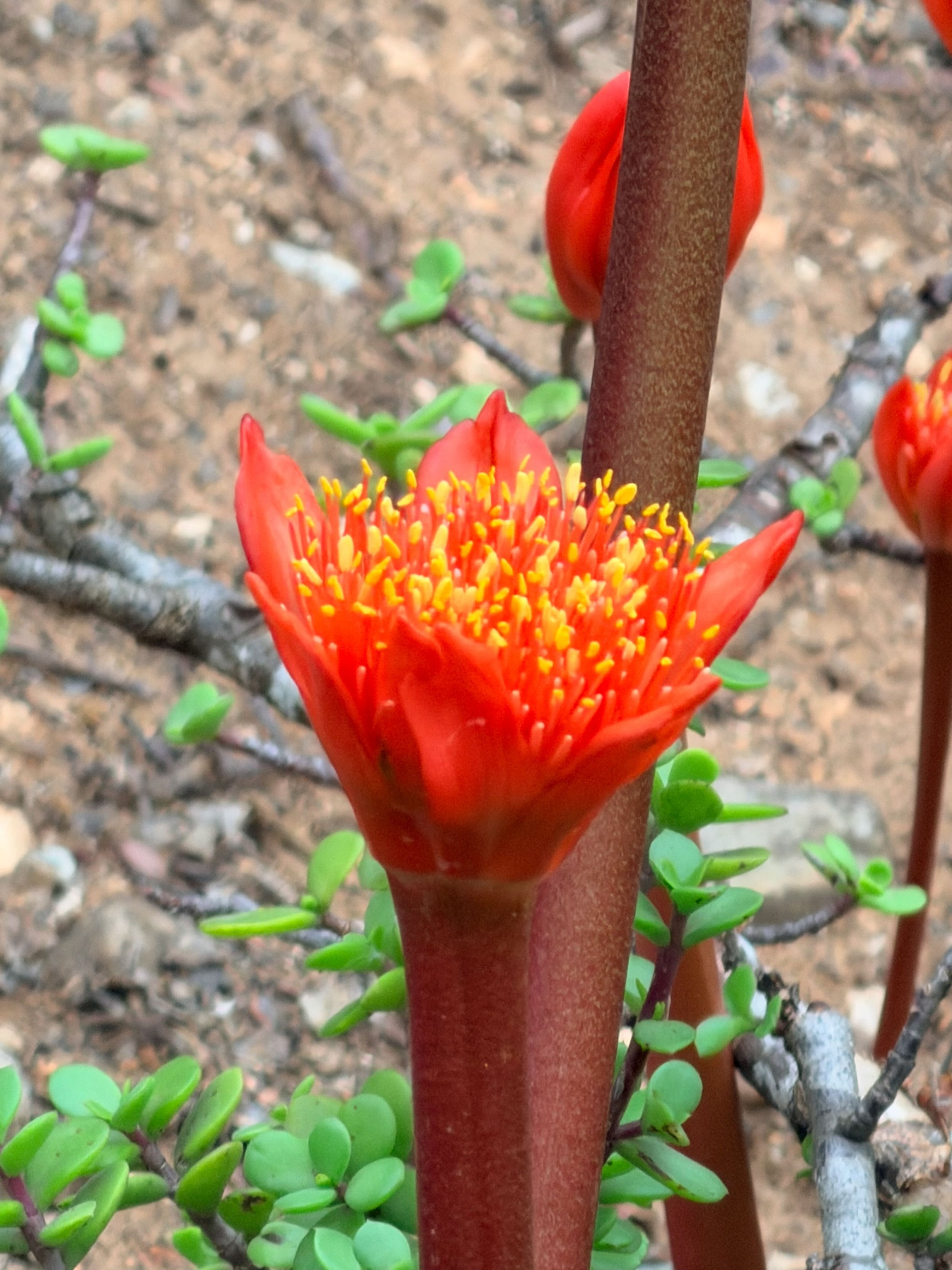 Untitled - 1 of 6.jpeg