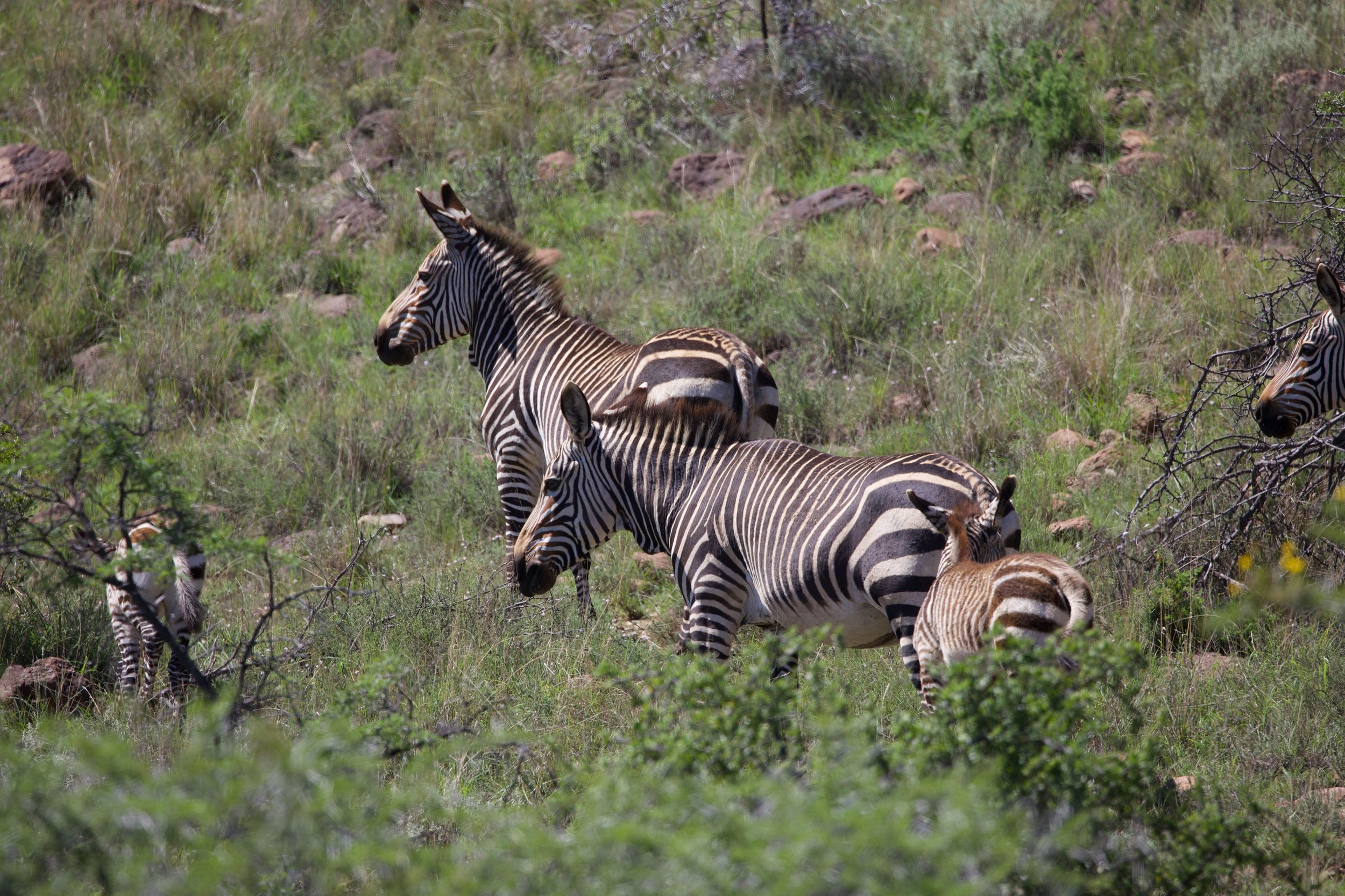 Untitled - 14 of 15.jpeg