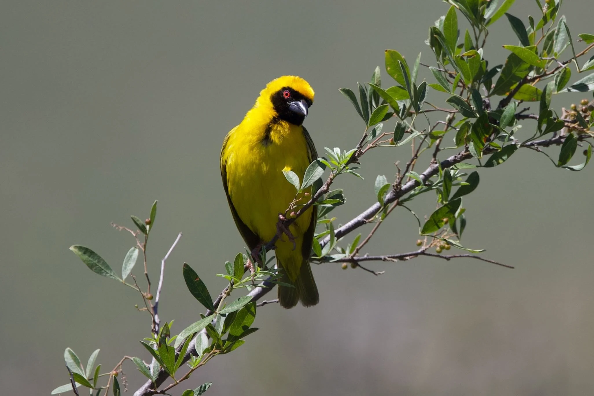 Untitled - 12 of 15.jpeg