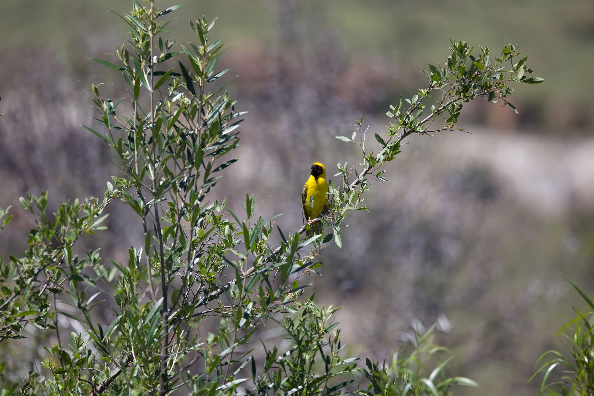 Untitled - 11 of 15.jpeg