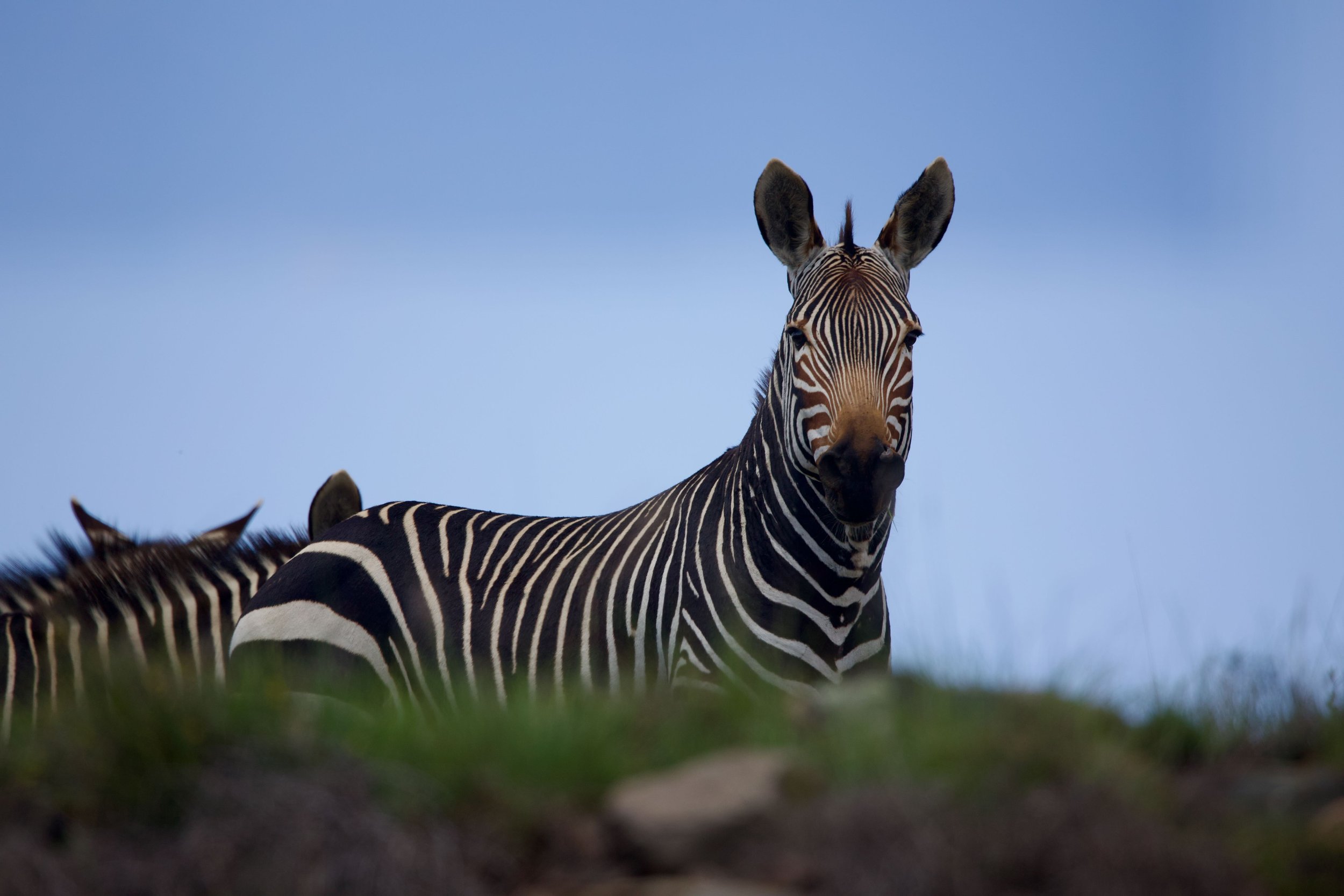 Untitled - 9 of 15.jpeg