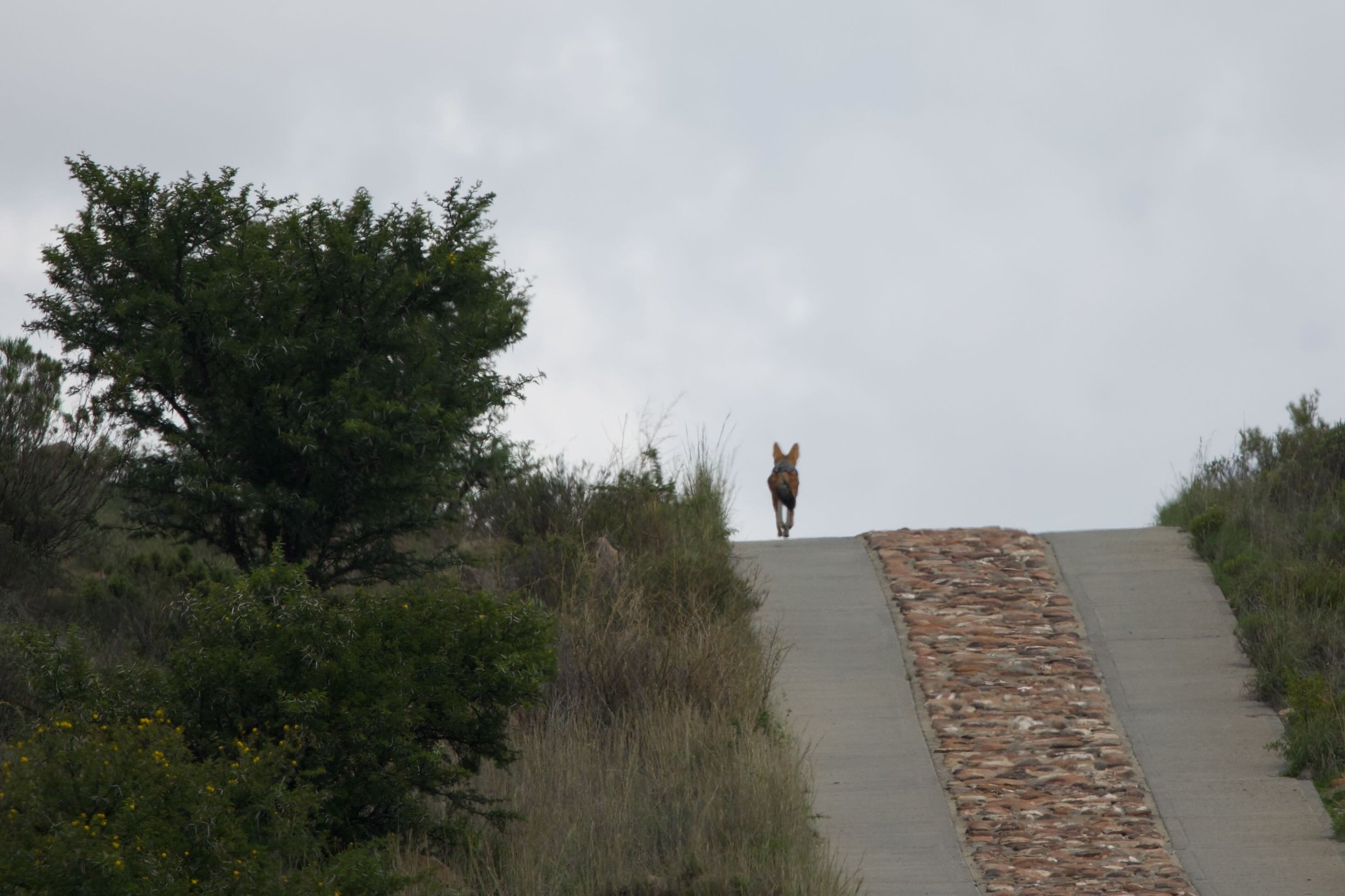 Untitled - 8 of 15.jpeg