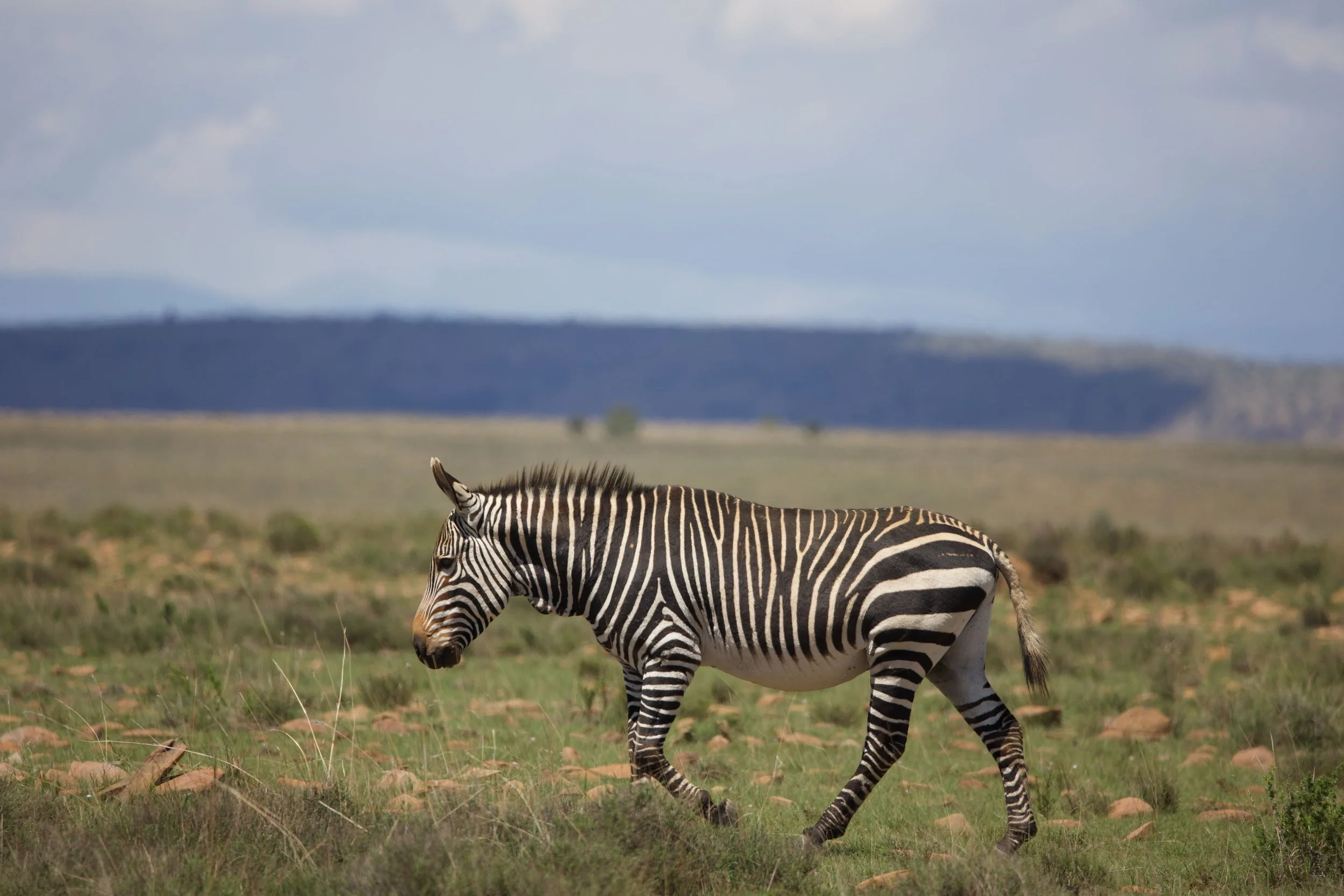 Untitled - 7 of 15.jpeg